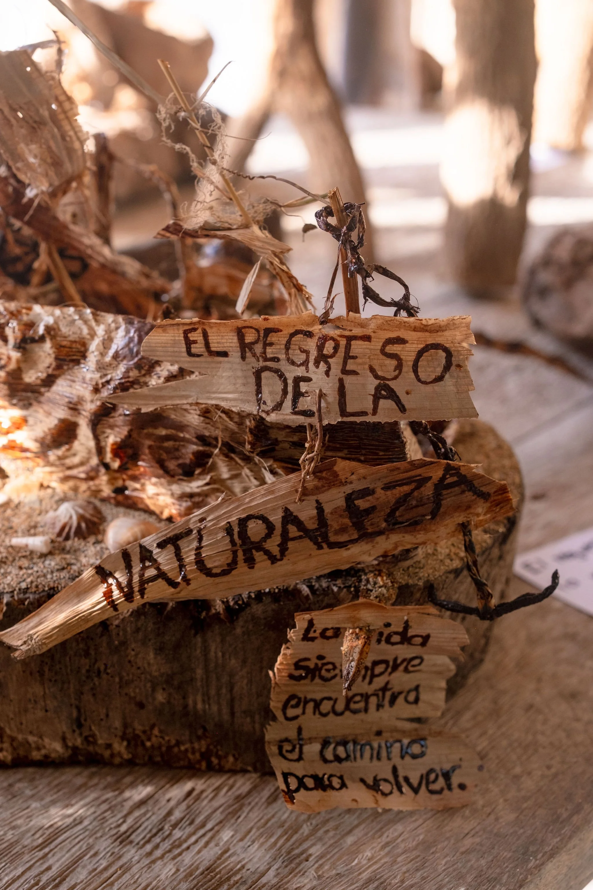 20 Years of "Dale Vida a la Naturaleza Muerta"