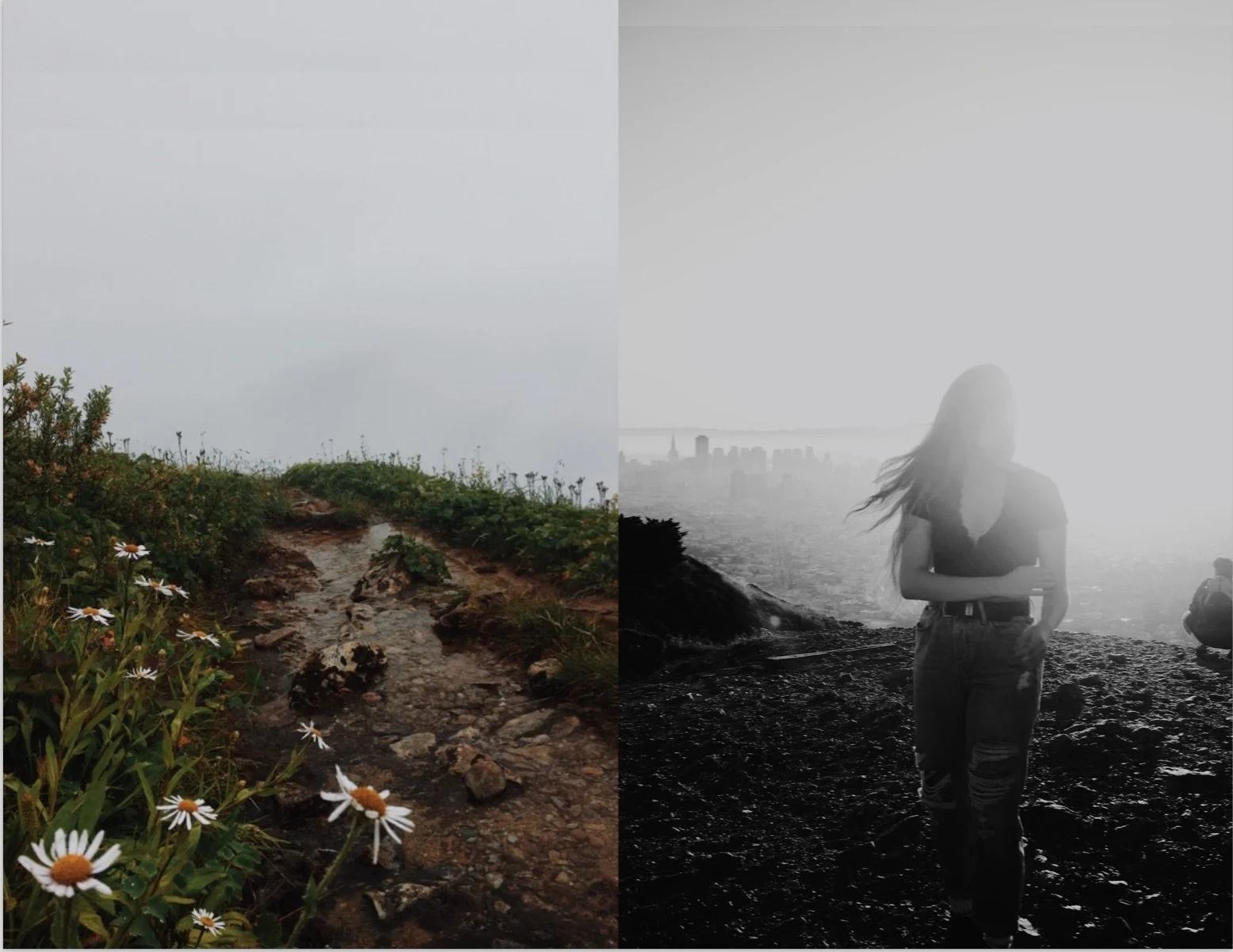 ' helplessness blues ' digital photography . 2016-2017