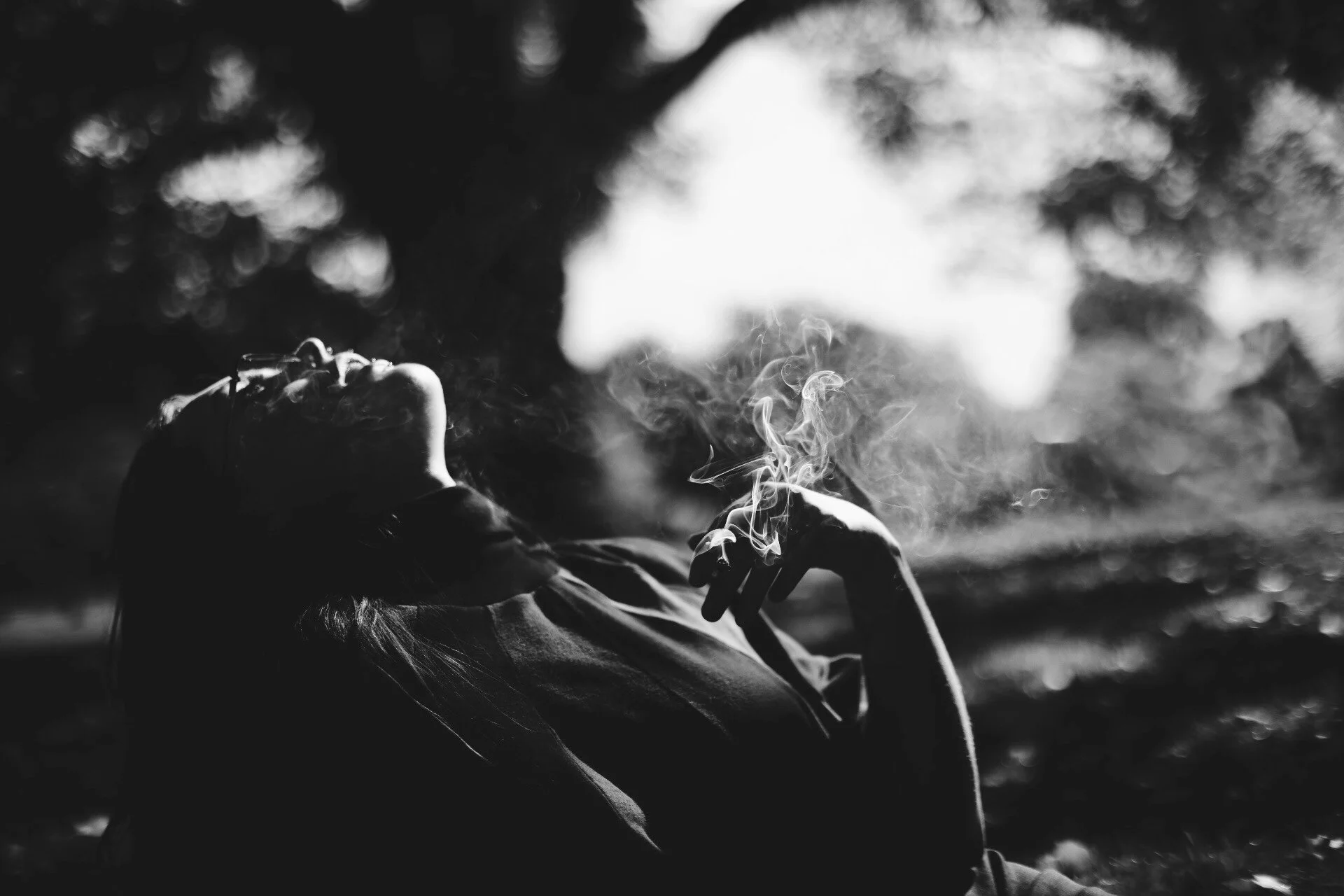 ' the velvet light trap ' digital photography series. 2018