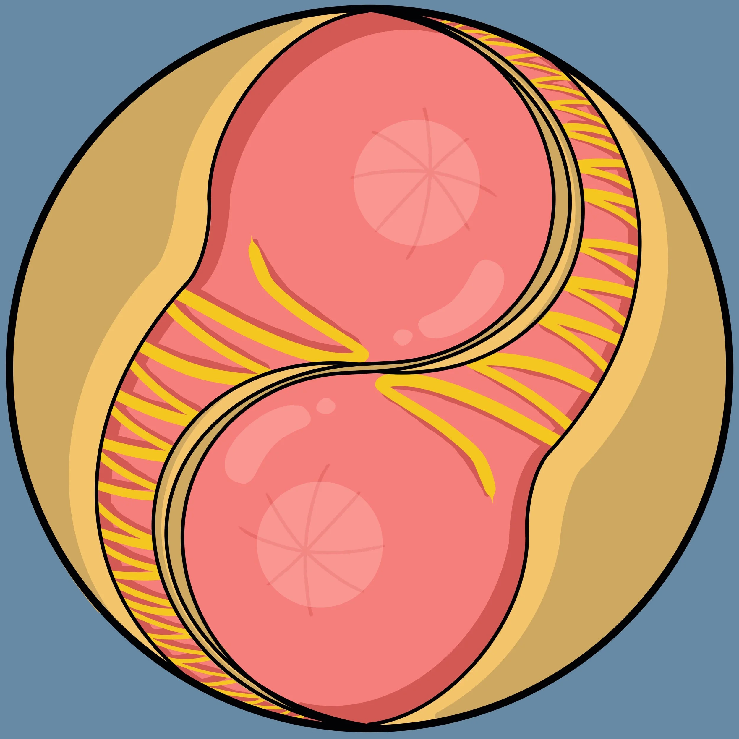 Untitled_Artwork 28.jpg