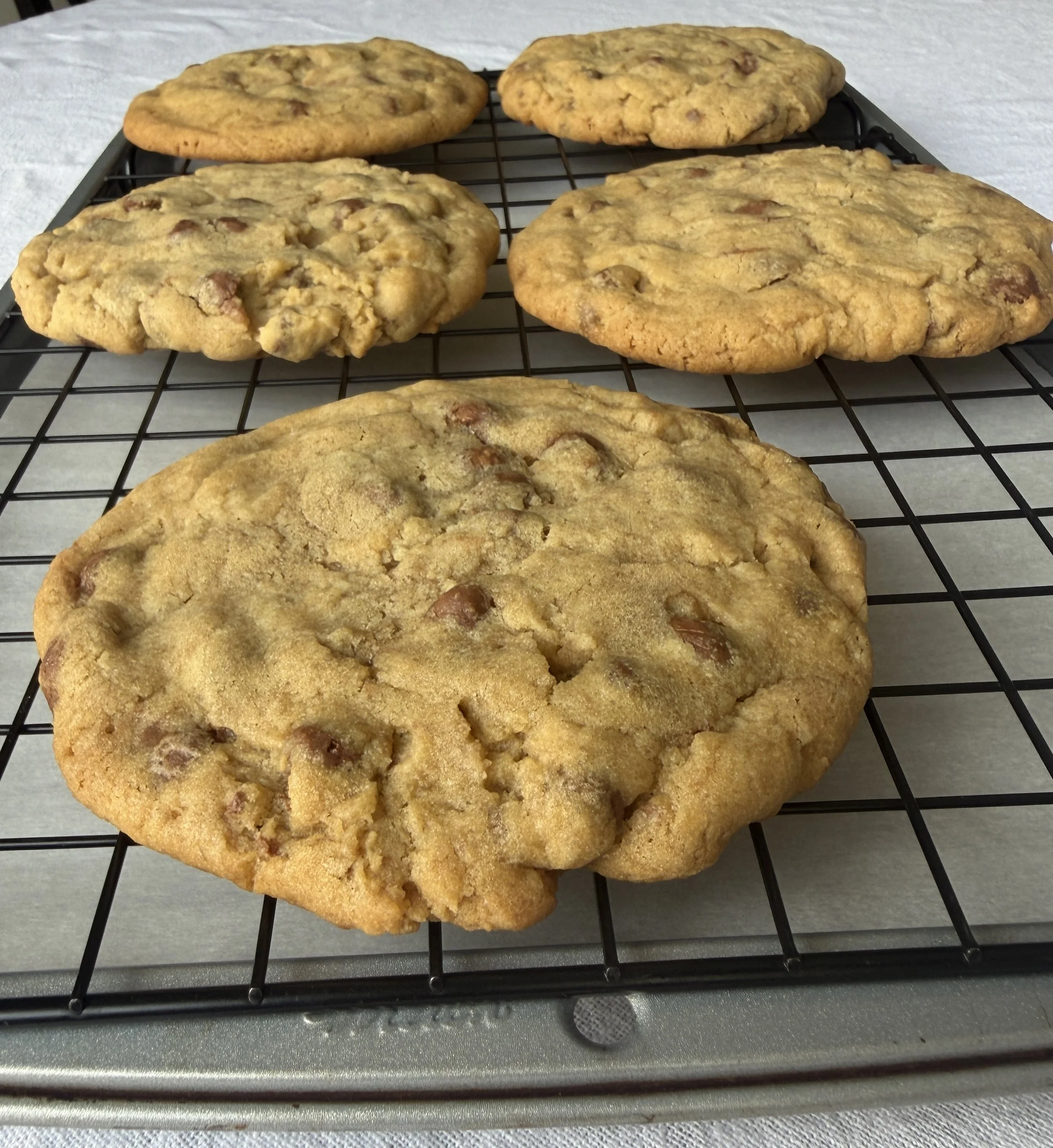 Colossal Chocolate Chunk Cookies