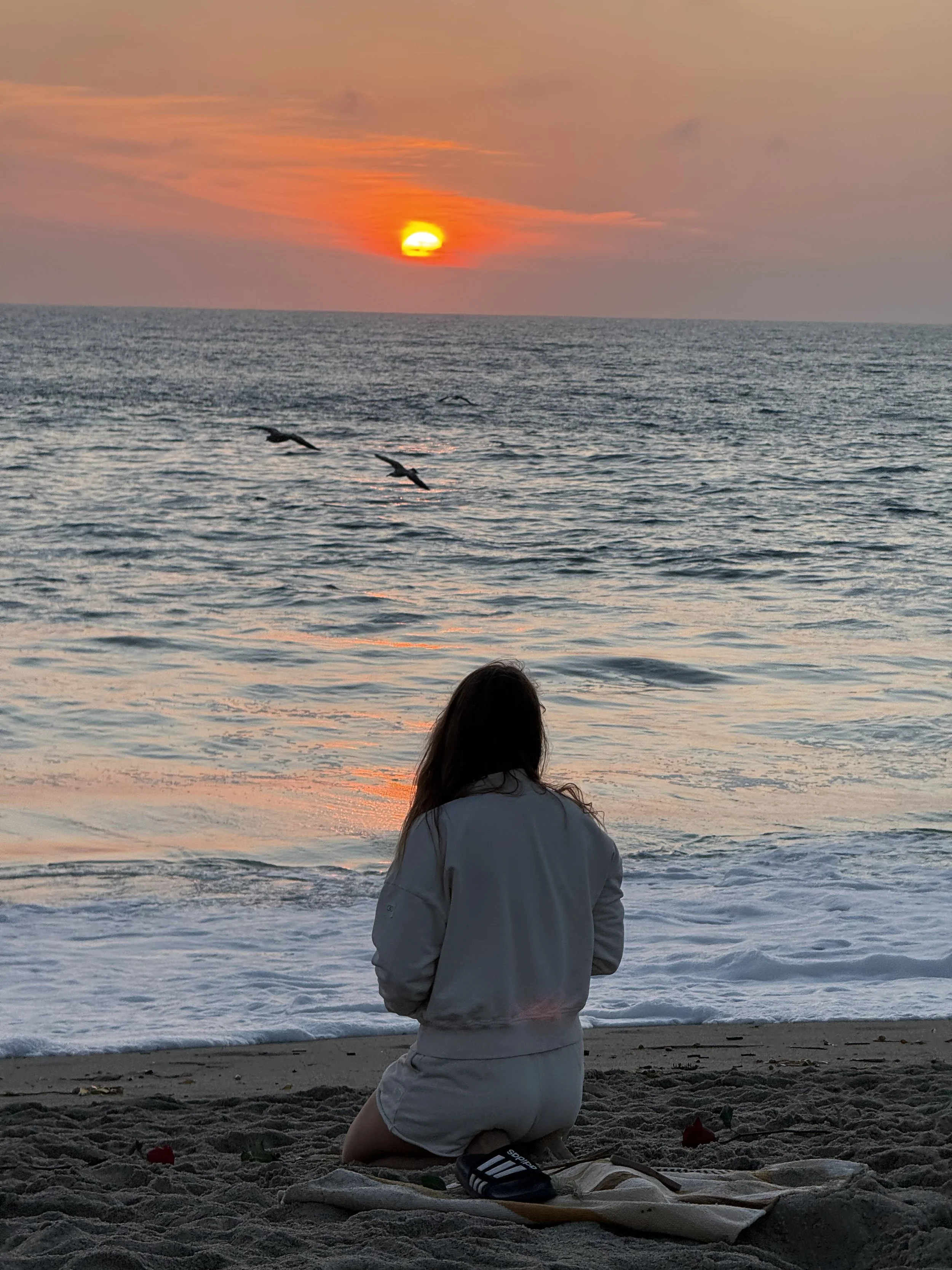 A Manifesto of Softness