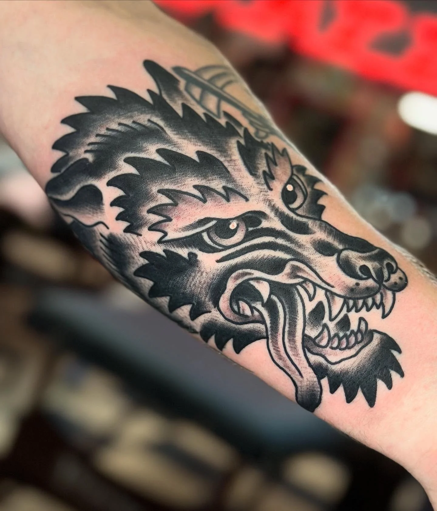 From @david_steed who does work at both @elmstreettattoo and our private studio @heartinhand_est⁠
⁠
Wolf walk in here at Elm Street Tattoo in. Appointments are available, walk-ins always welcome. Get a tattoo you can see from across the street!!!