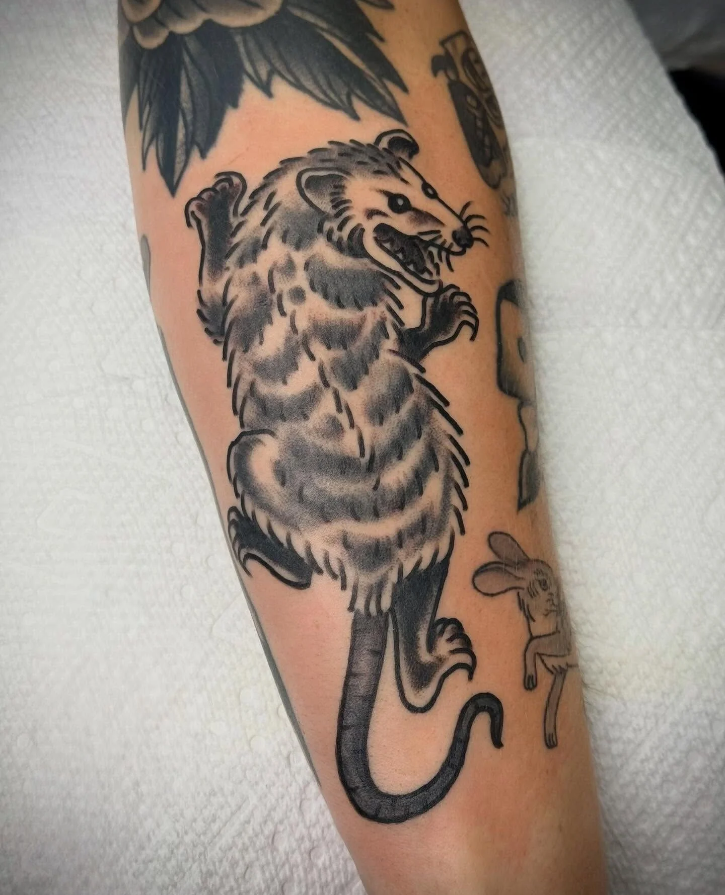 From @luluvantuckett at our @heartinhand_lg and @elmstreettattoo shops...⁠
.⁠
I&rsquo;ll tattoo critters any day.⁠
.⁠
#blackandgraytattoo #possum #possumtattoo #opossumtattoo #traditionaltattoo