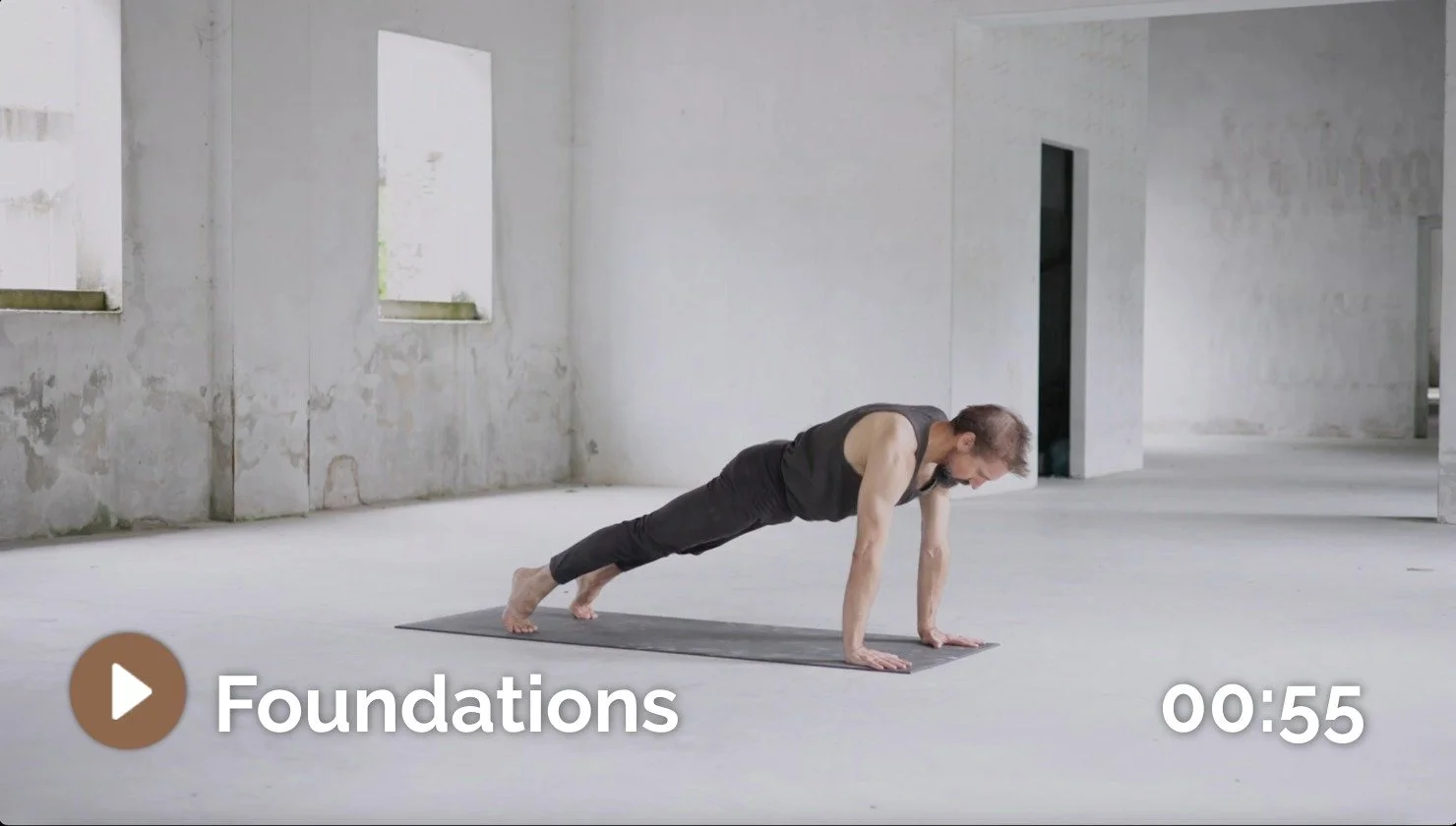 The Foundations class of Black Lotus Yoga.