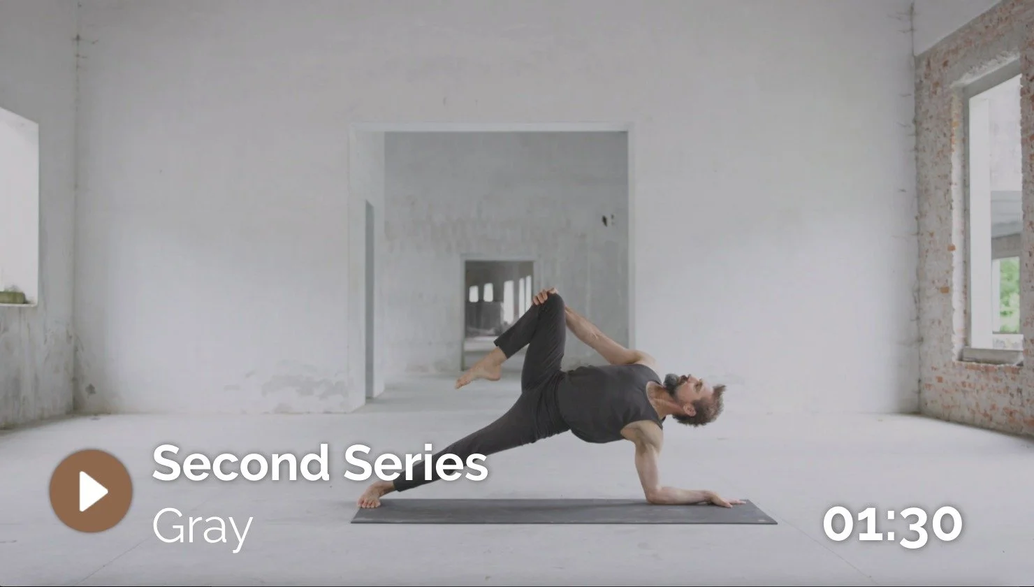 The Second Series (Gray Variation) of Black Lotus Yoga, led by Ty Landrum.