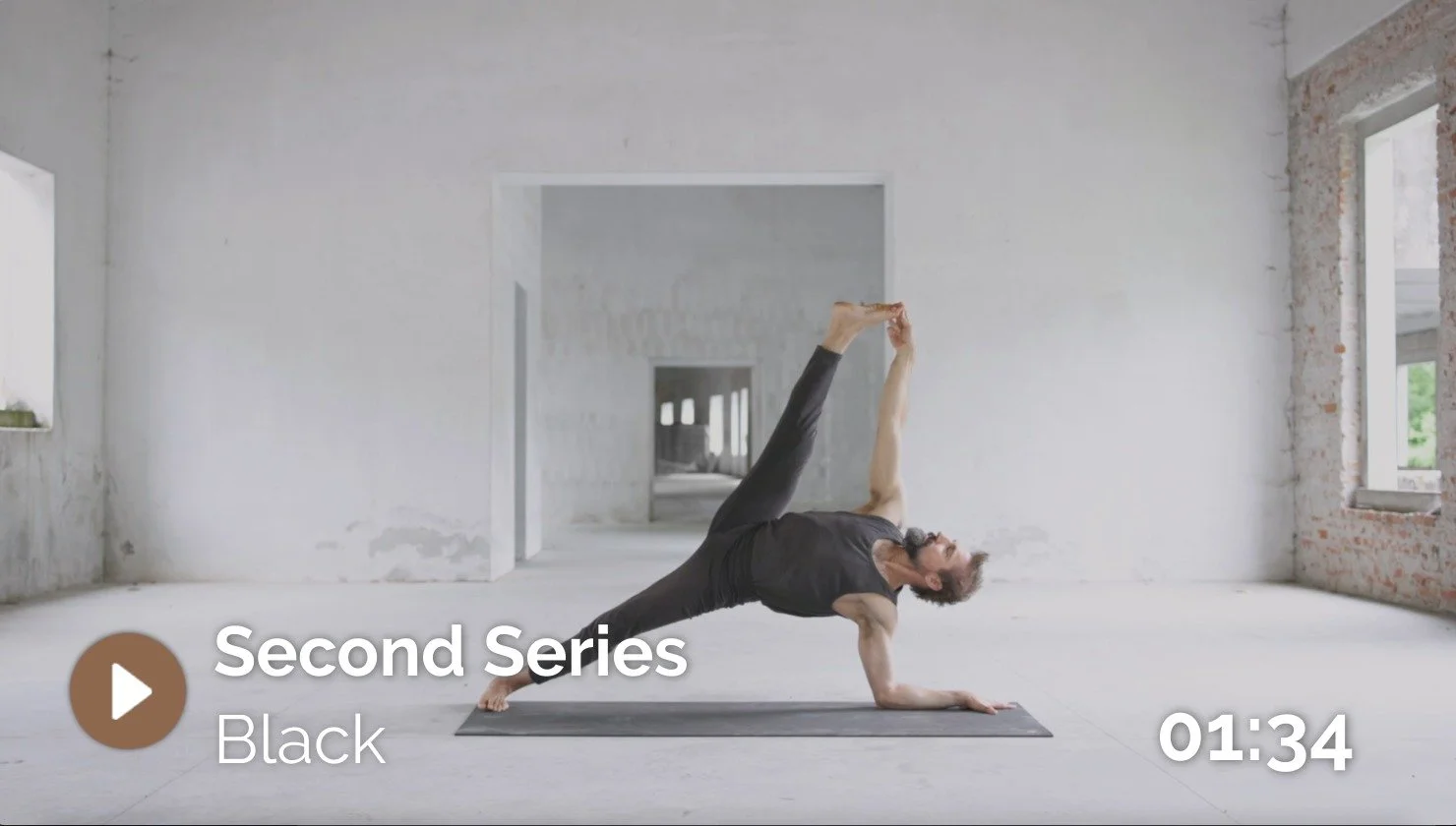 The Second Series (Black Variant) of Black Lotus Yoga with Ty Landrum.