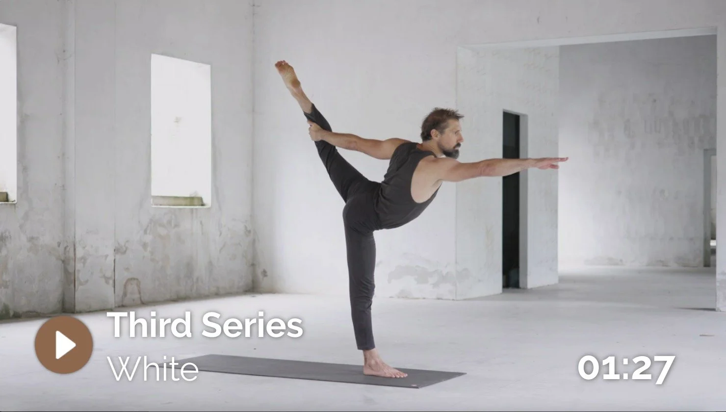 The Third Series (White Variation) of Black Lotus Yoga, led by Ty Landrum.