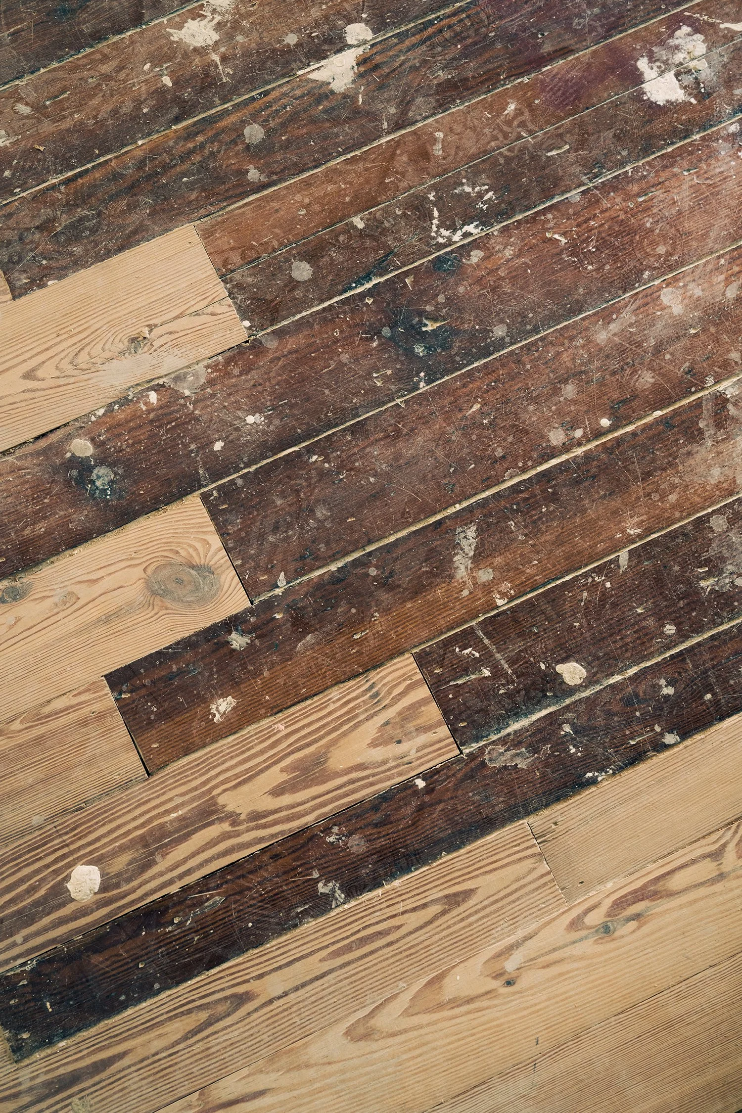 PROJECTABODE_09092025_DBS_ 146 small.jpg