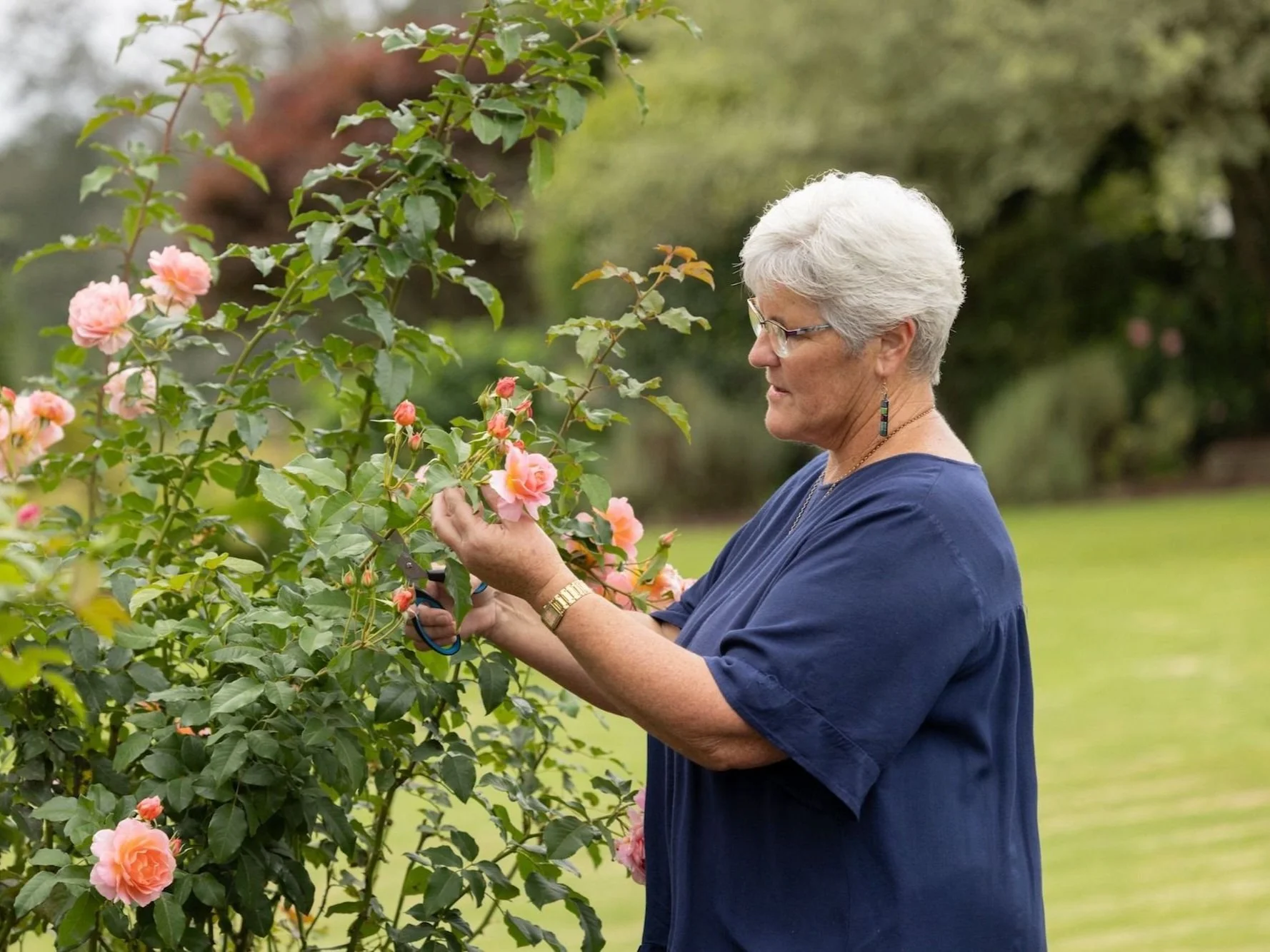 The healing power of beauty. Raewyn Higgins, counsellor, in her garden