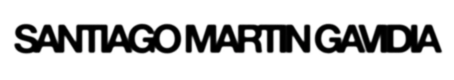 SANTIAGO MARTIN GAVIDIA