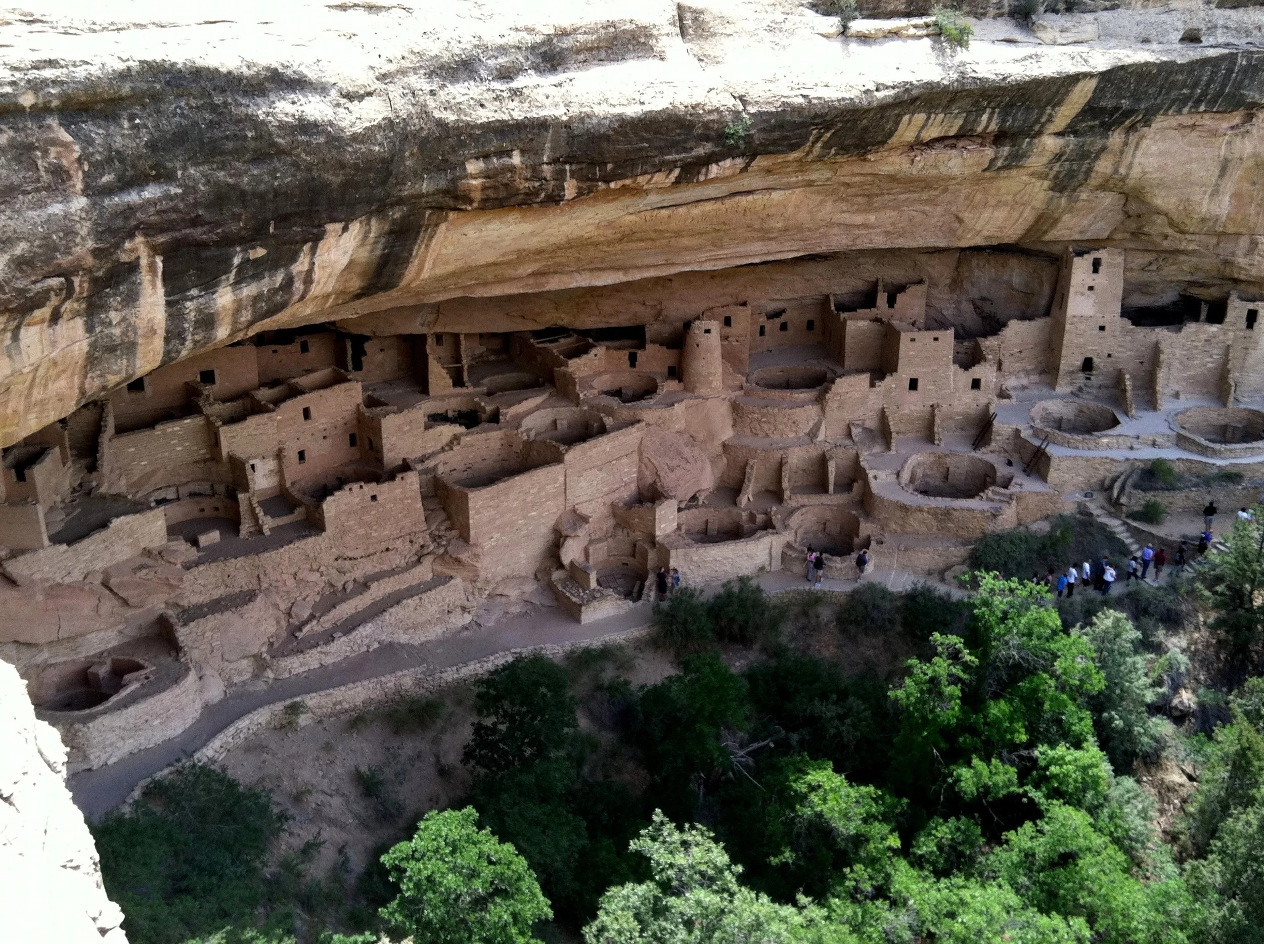 The Hidden Value in Your Backyard