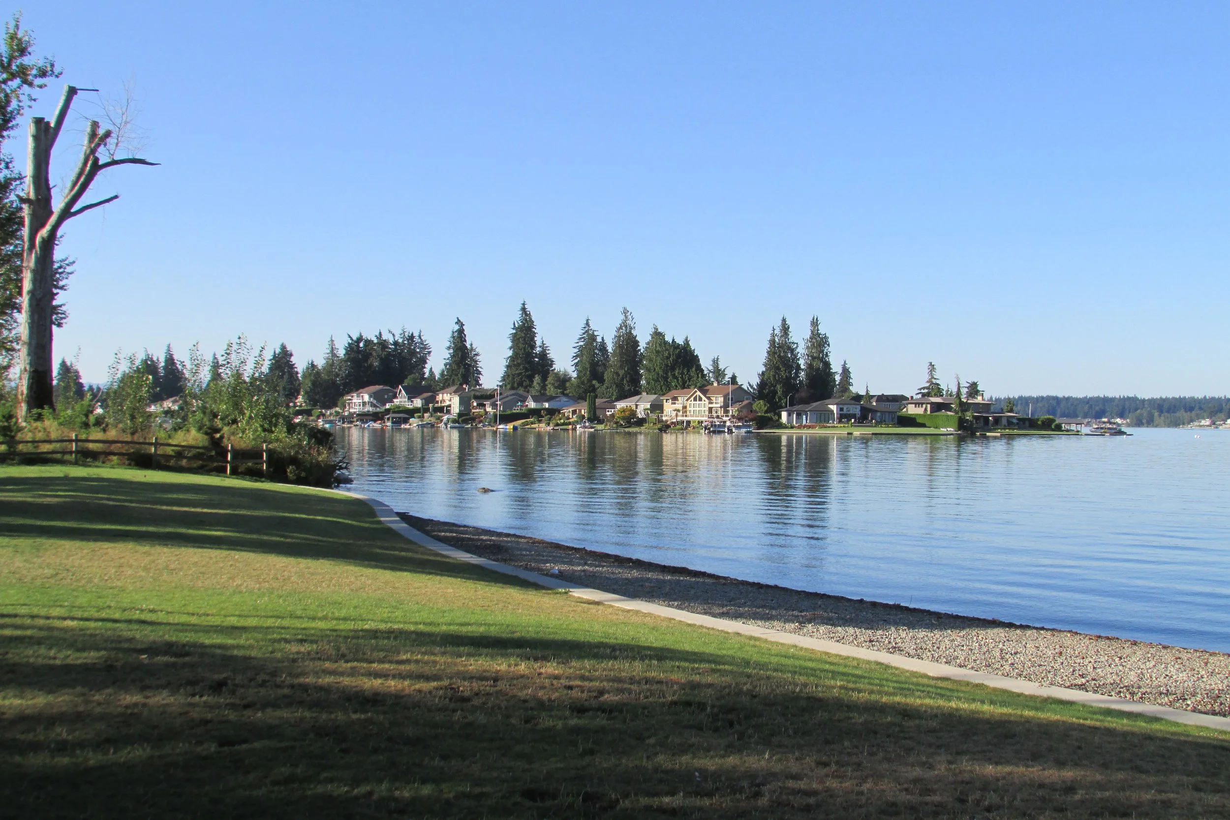 Tapps_Island_3341.jpg