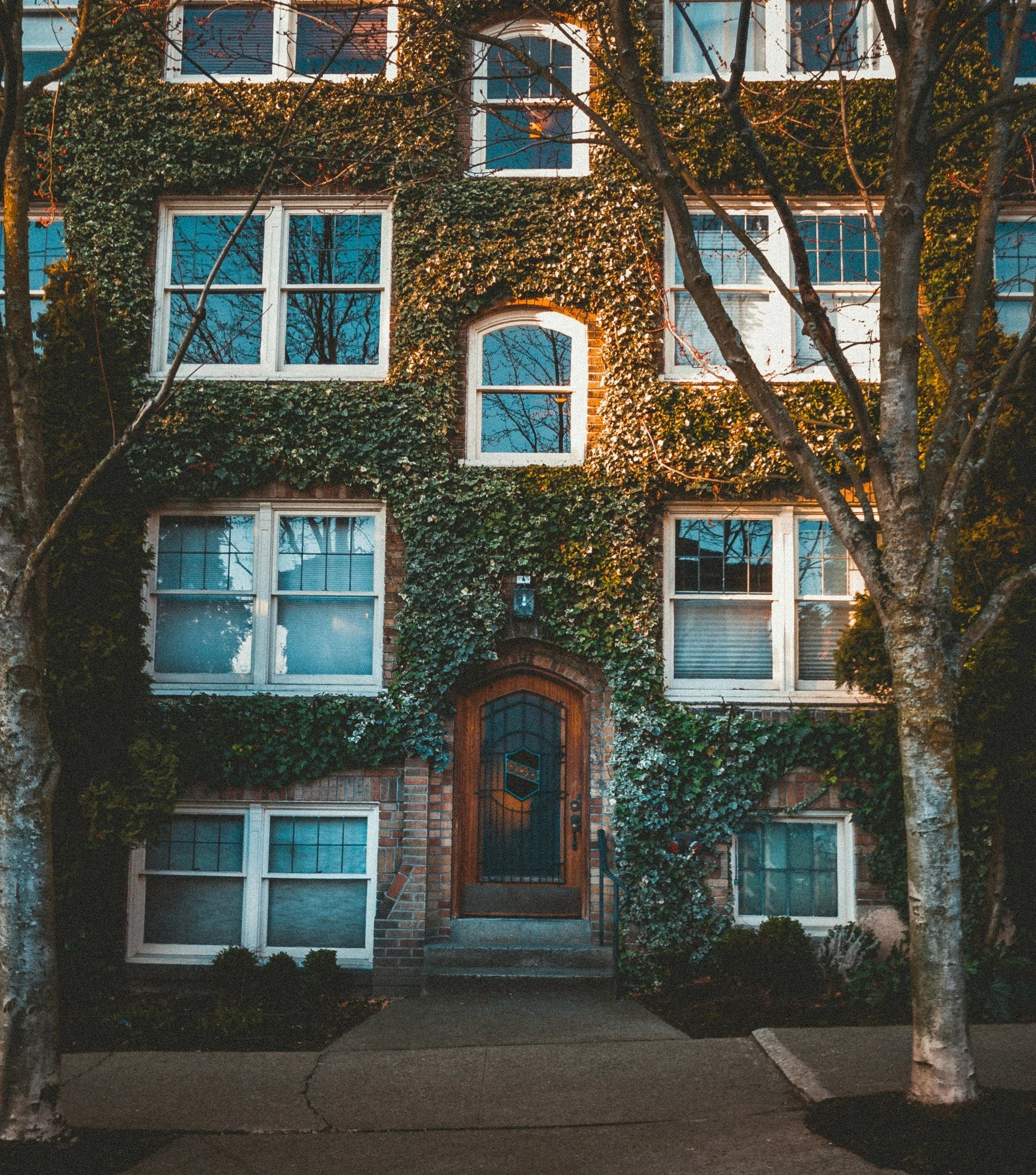 The Building Gets a Vote: Condo vs. Co-op in Seattle