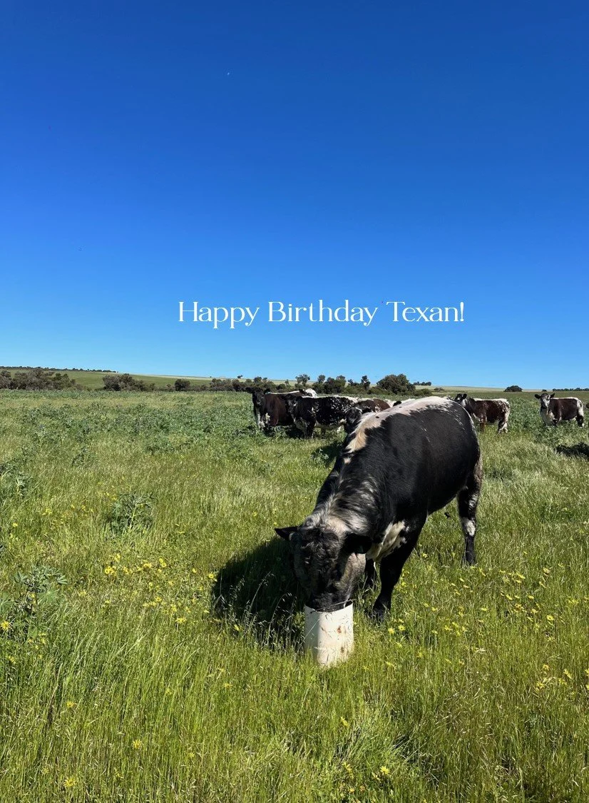 Texan - 3rd Birthday 9-9-2025 with text.jpg