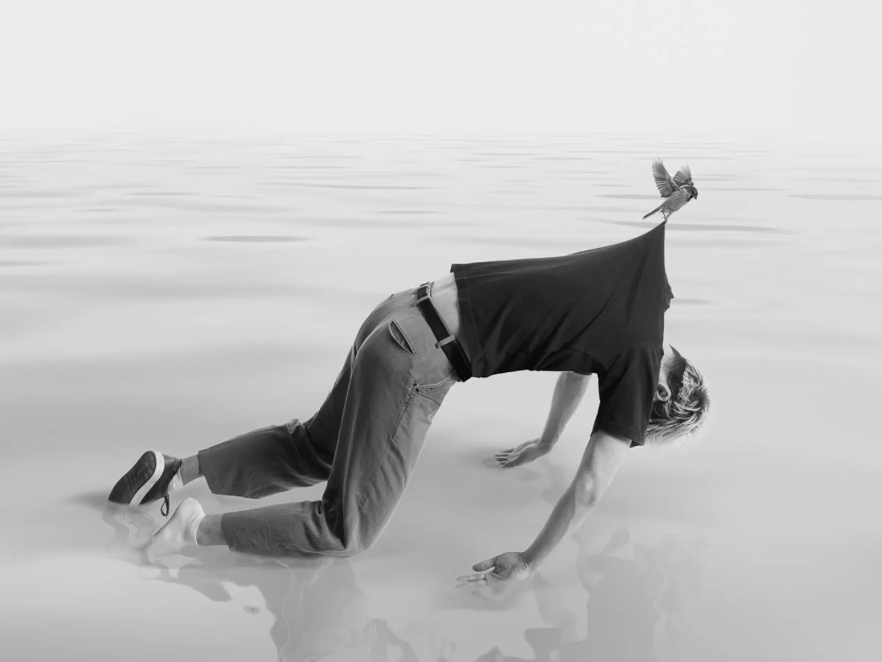 Rodeo 17: Showcasing the Future of Canadian Image Makers