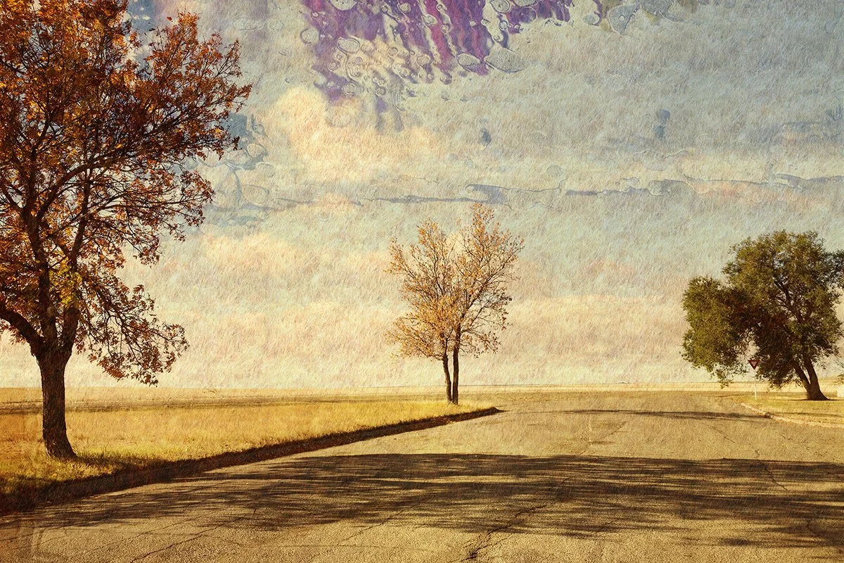 Benjamin Rondel : "La dernière rue de Cabri, SK".
