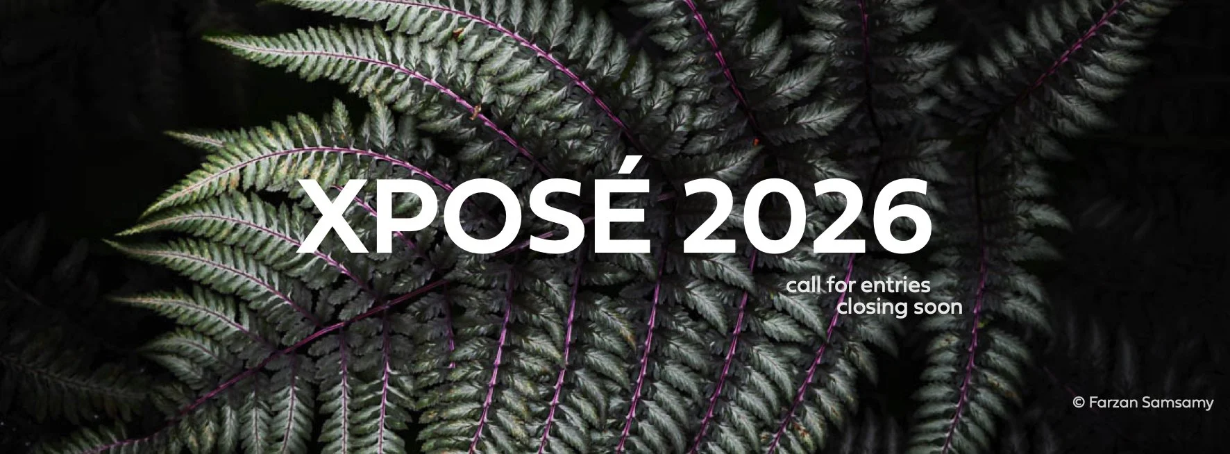 XPOSE2026-CLOSINGSOONB.jpeg