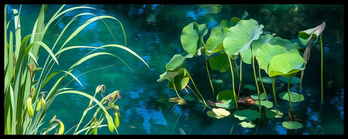Alex Neumann : "Nymphéas Nr.73" (nappes d'eau)