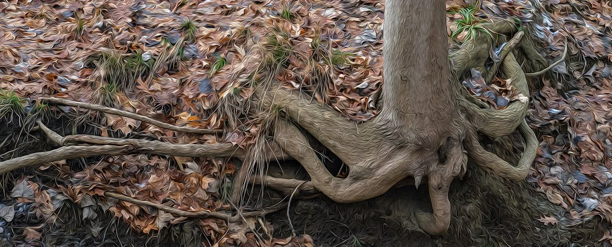 Alex Neumann : "Roots Nr.128" (racines)