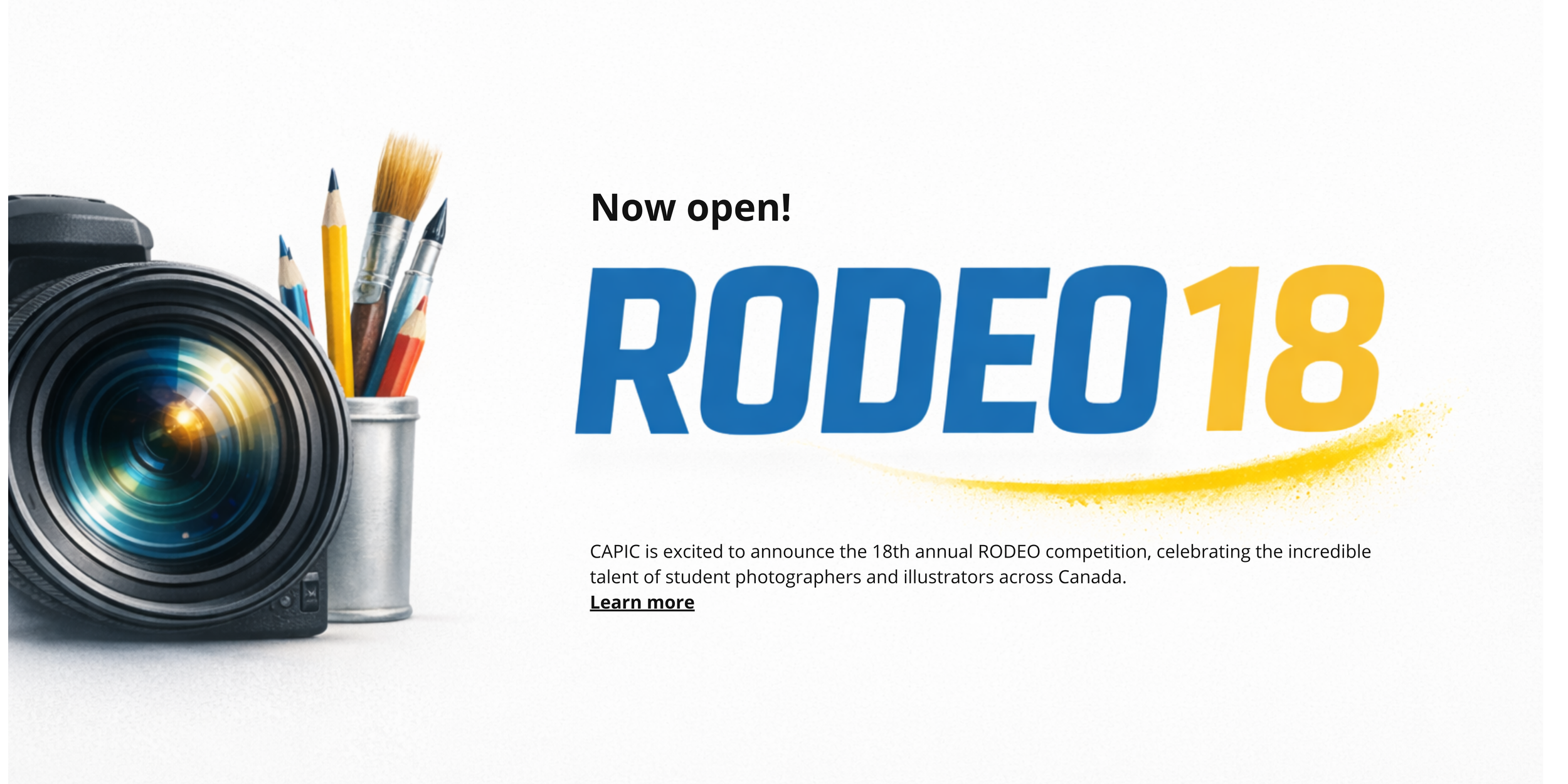 Copie de 2025 Survey (3).png