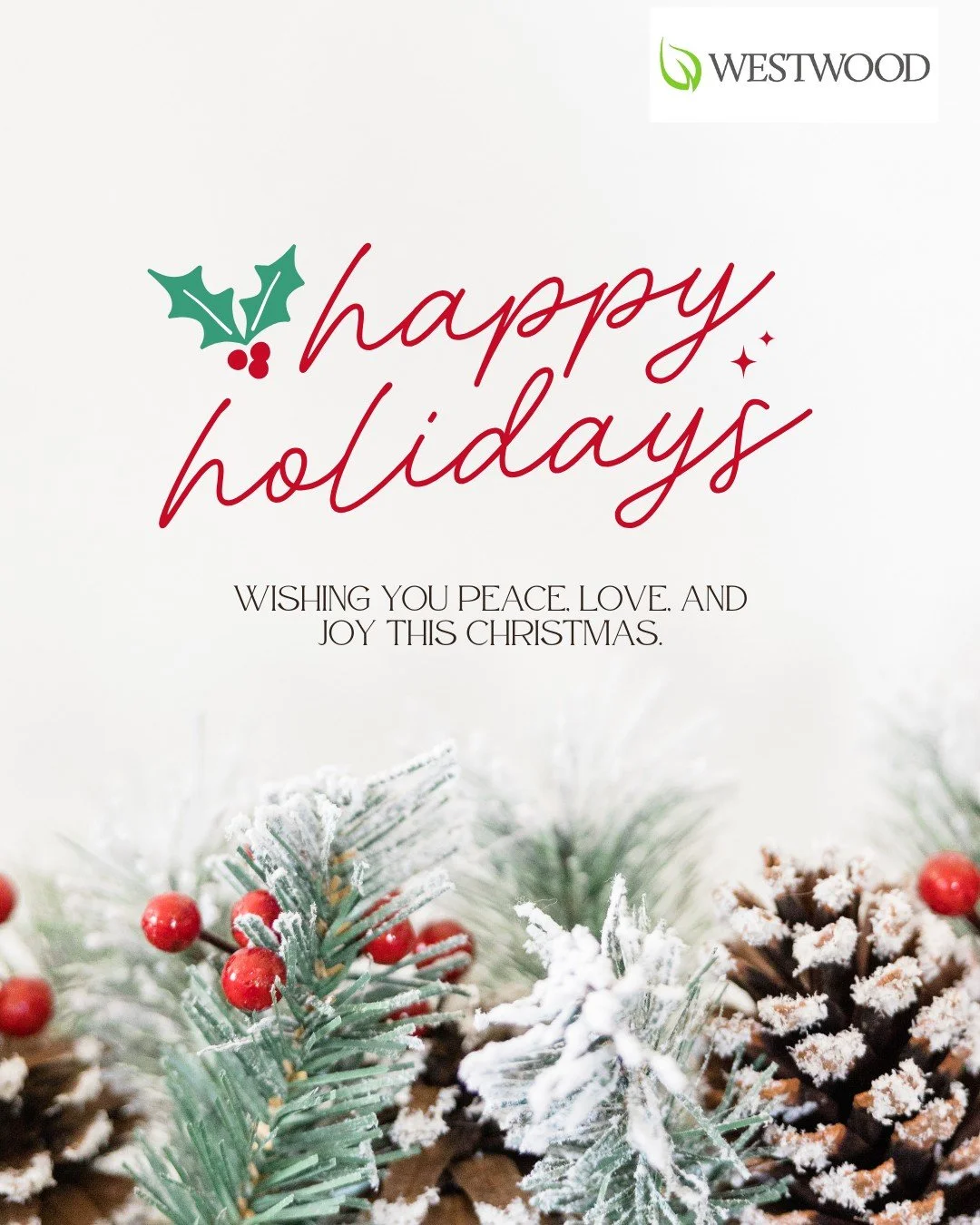 ✨ Happy Holidays from Westwood Developments! ✨
Wishing you a joyful season filled with warmth and celebration. ❄️🎄

#WestwoodDevelopments #HappyHolidays #SeasonGreetings