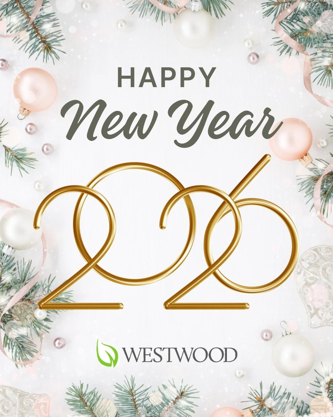 Happy New Year from all of us at Westwood Developments!
Thank you to our residents, partners, and community &mdash; here&rsquo;s to another year of growth and collaboration. ✨🎆

#WestwoodDevelopments #HappyNewYear2026 #BuildingCommunities