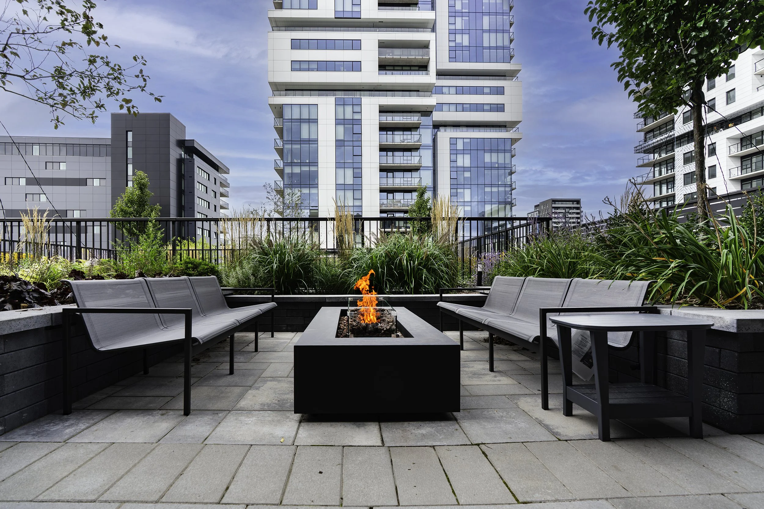 Back Yard 013 copy.jpg