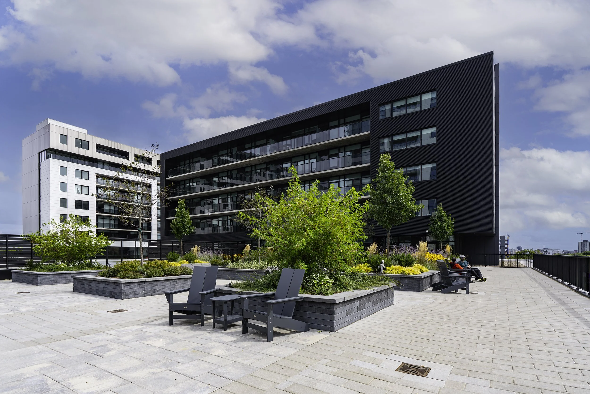 Back Yard 024 copy.jpg