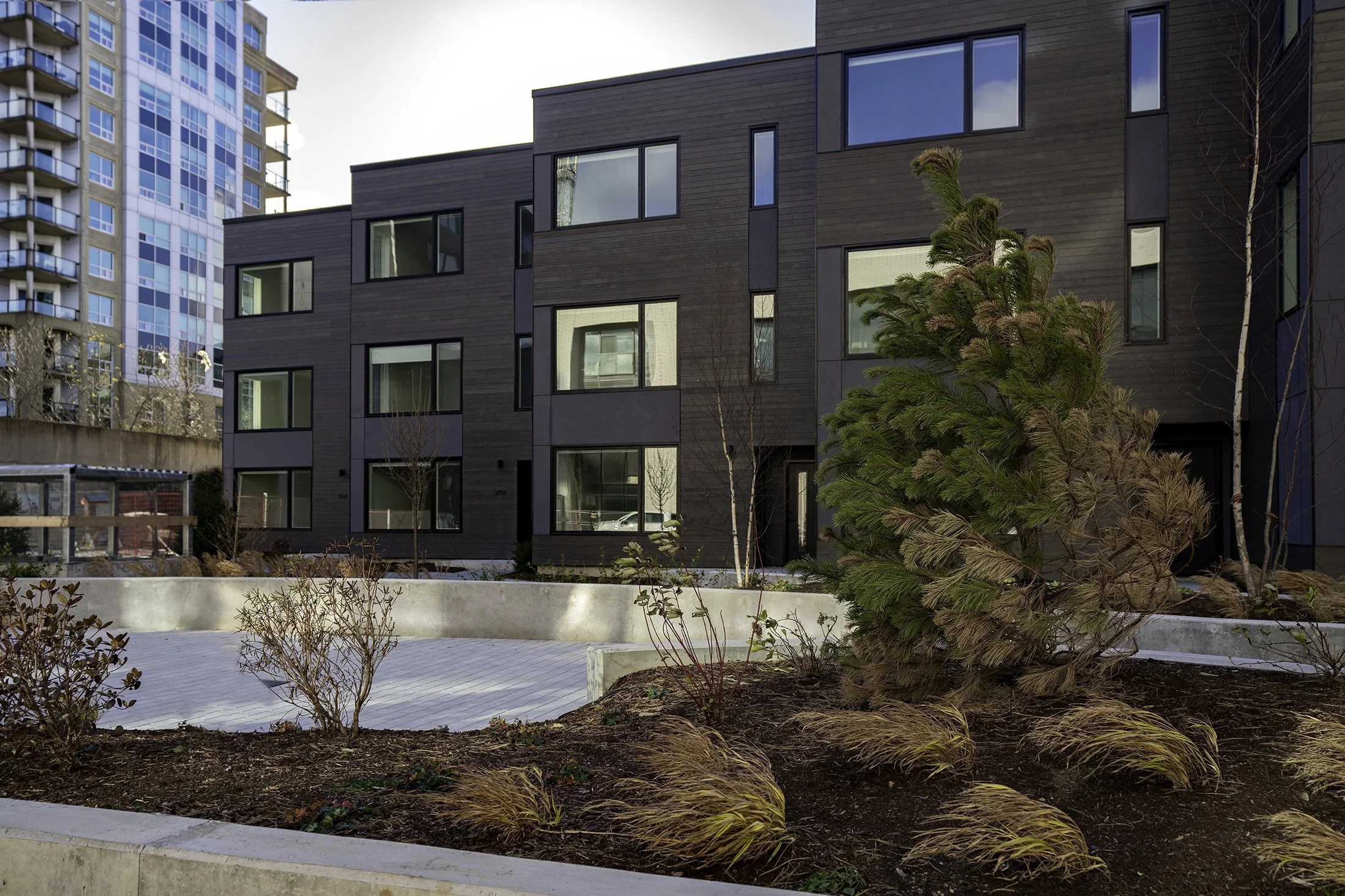 DSC09769-Edit copy.jpg