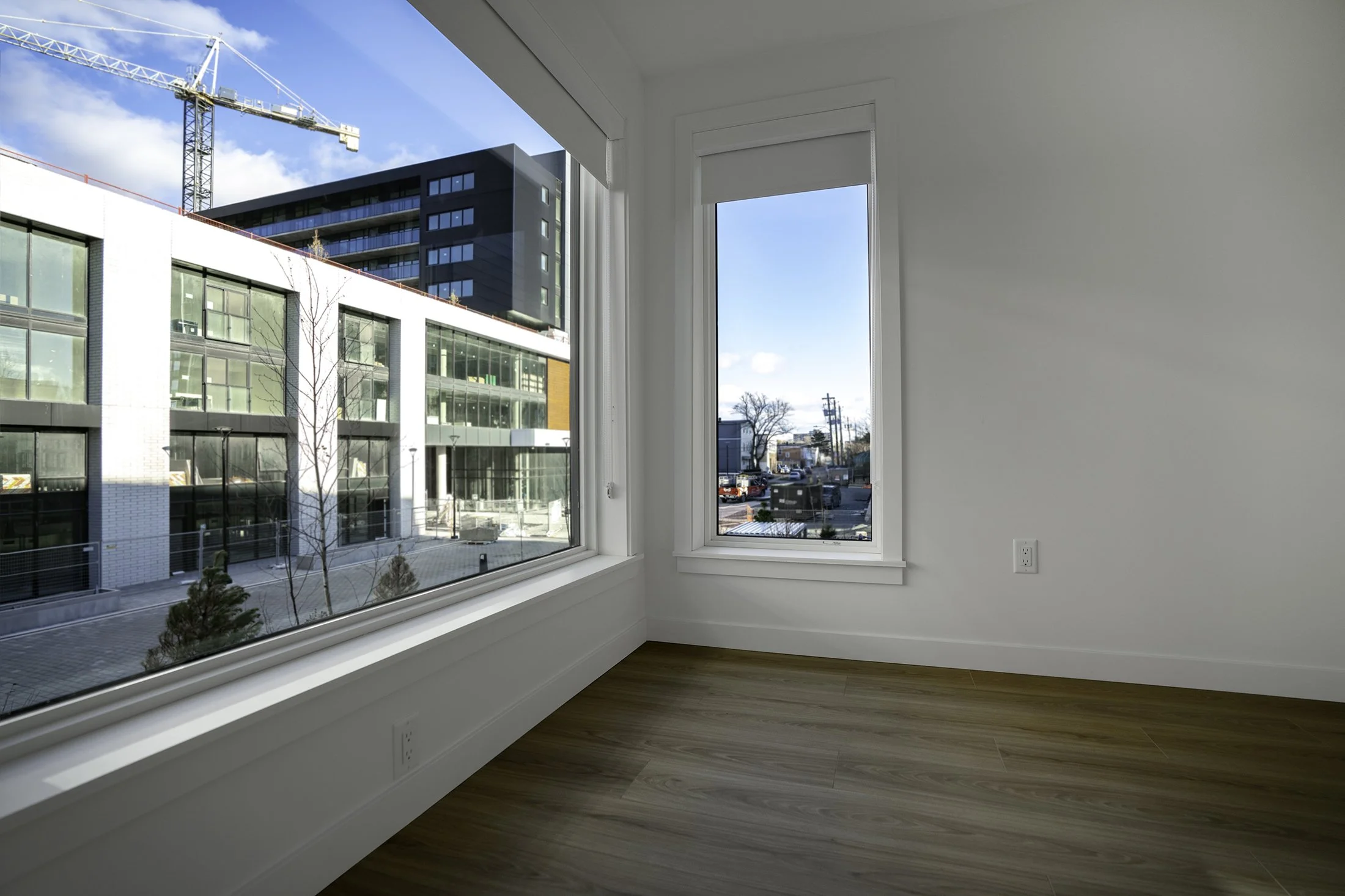 DSC09965-Edit copy.jpg