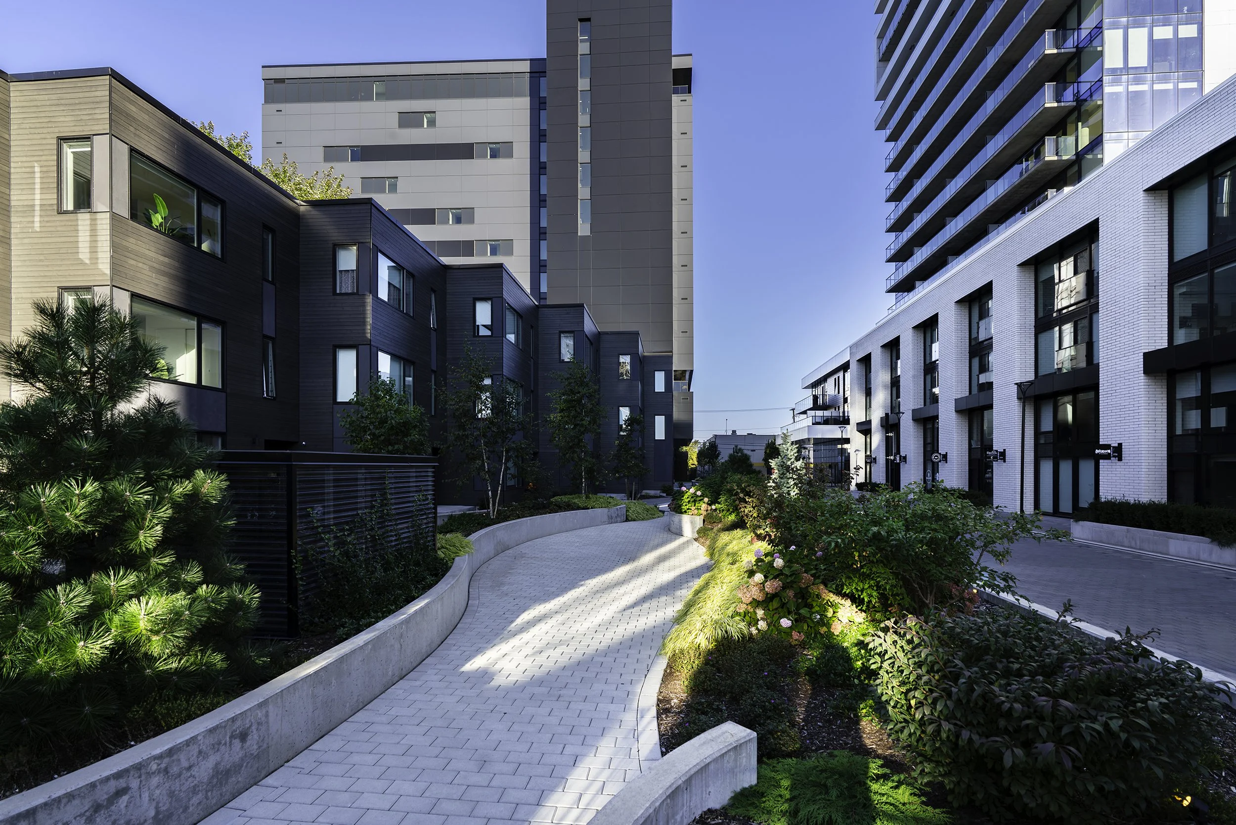 DSC09917-Edit copy.jpg