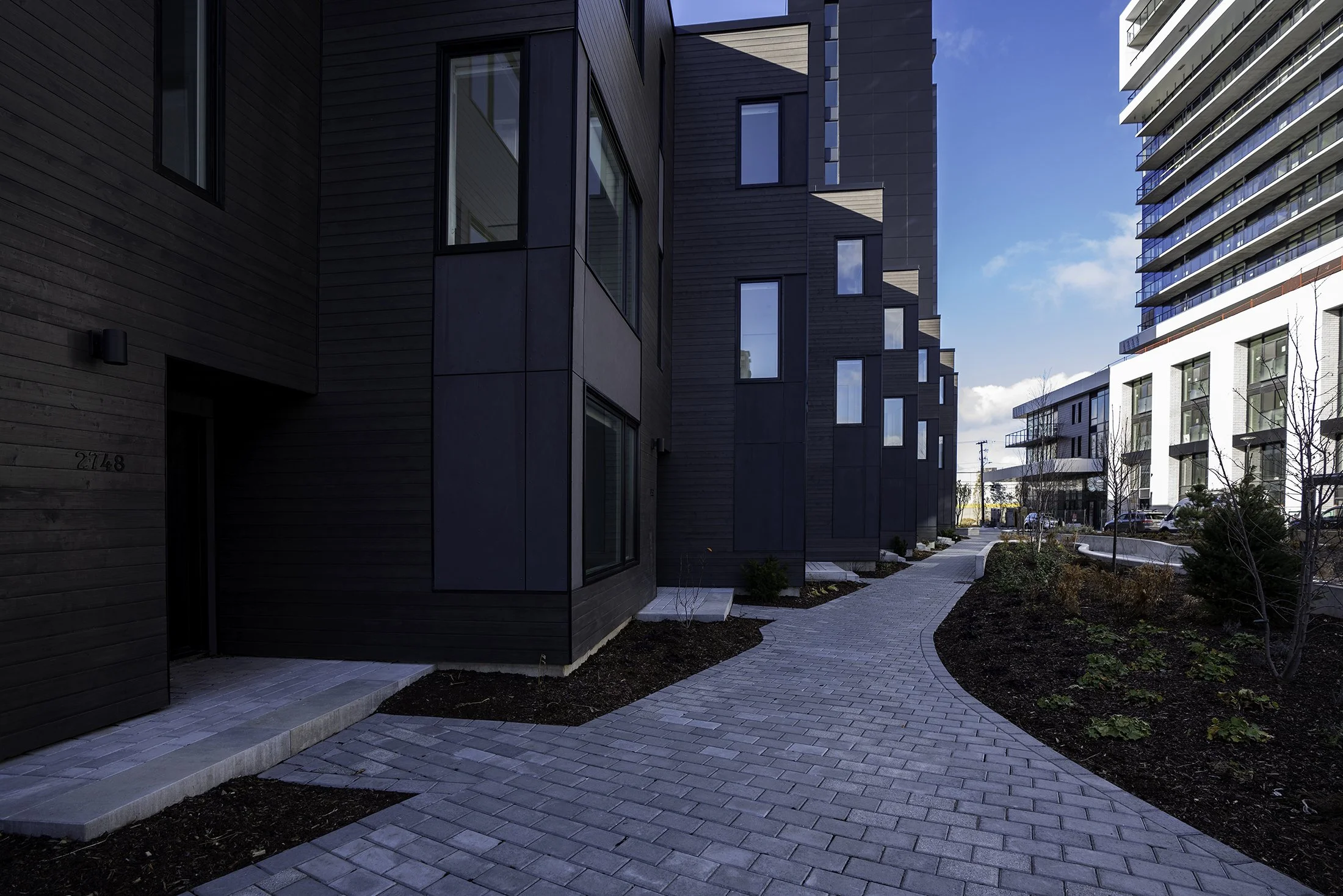 DSC09778-Edit copy.jpg