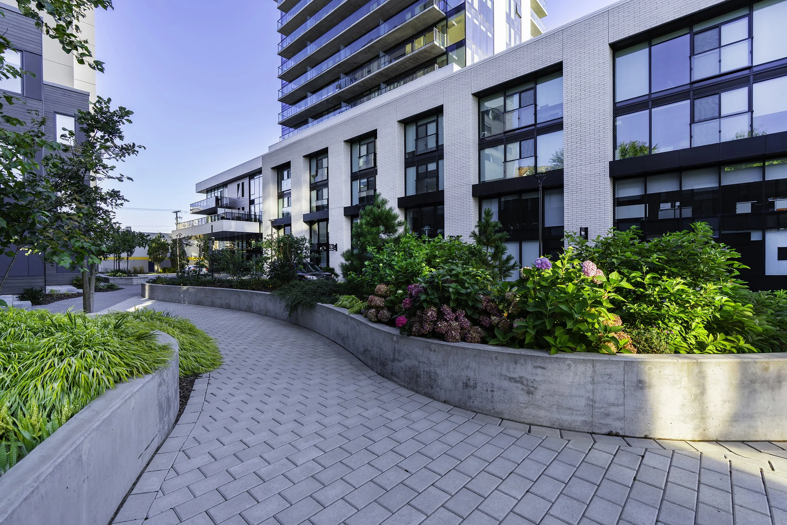 DSC09902-Edit copy.jpg