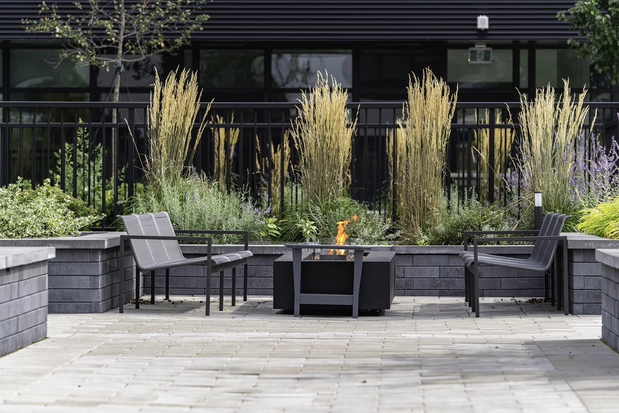 Back Yard 001 copy.jpg