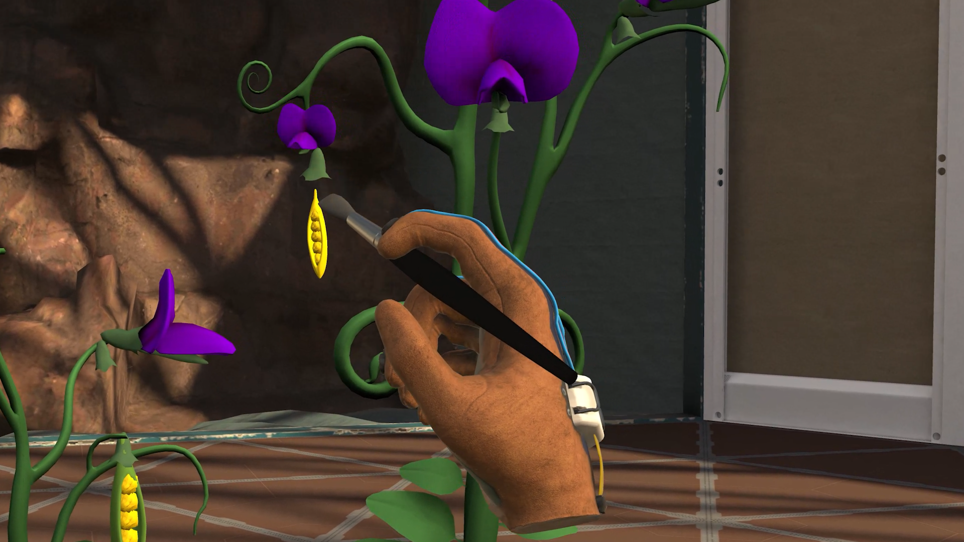 Genetics Curriculum Vids.00_00_06_01.Still001.png