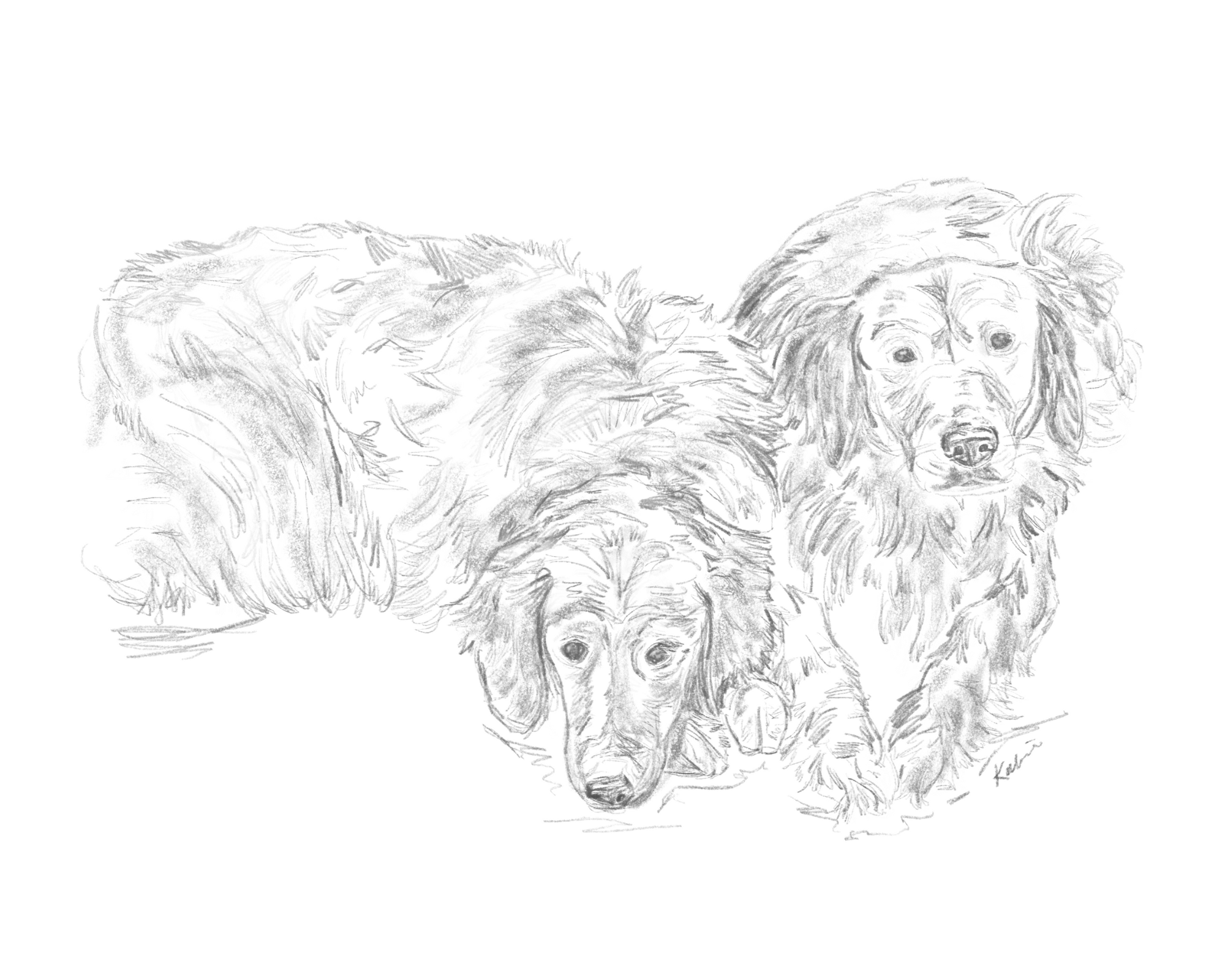 Untitled design - 2025-11-24T143851.811.png