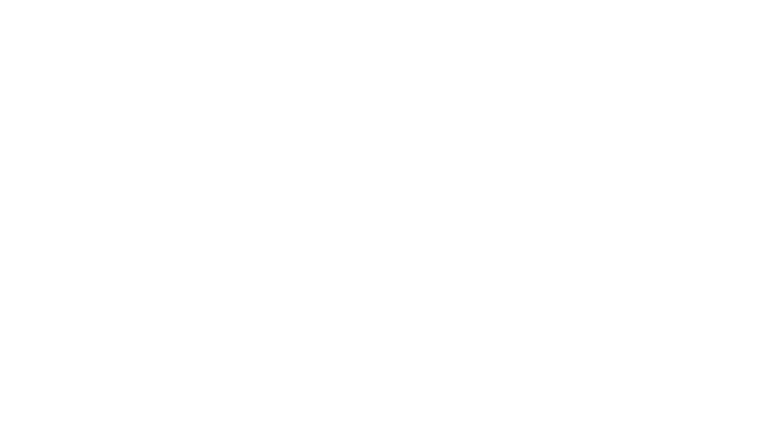 The Corner General