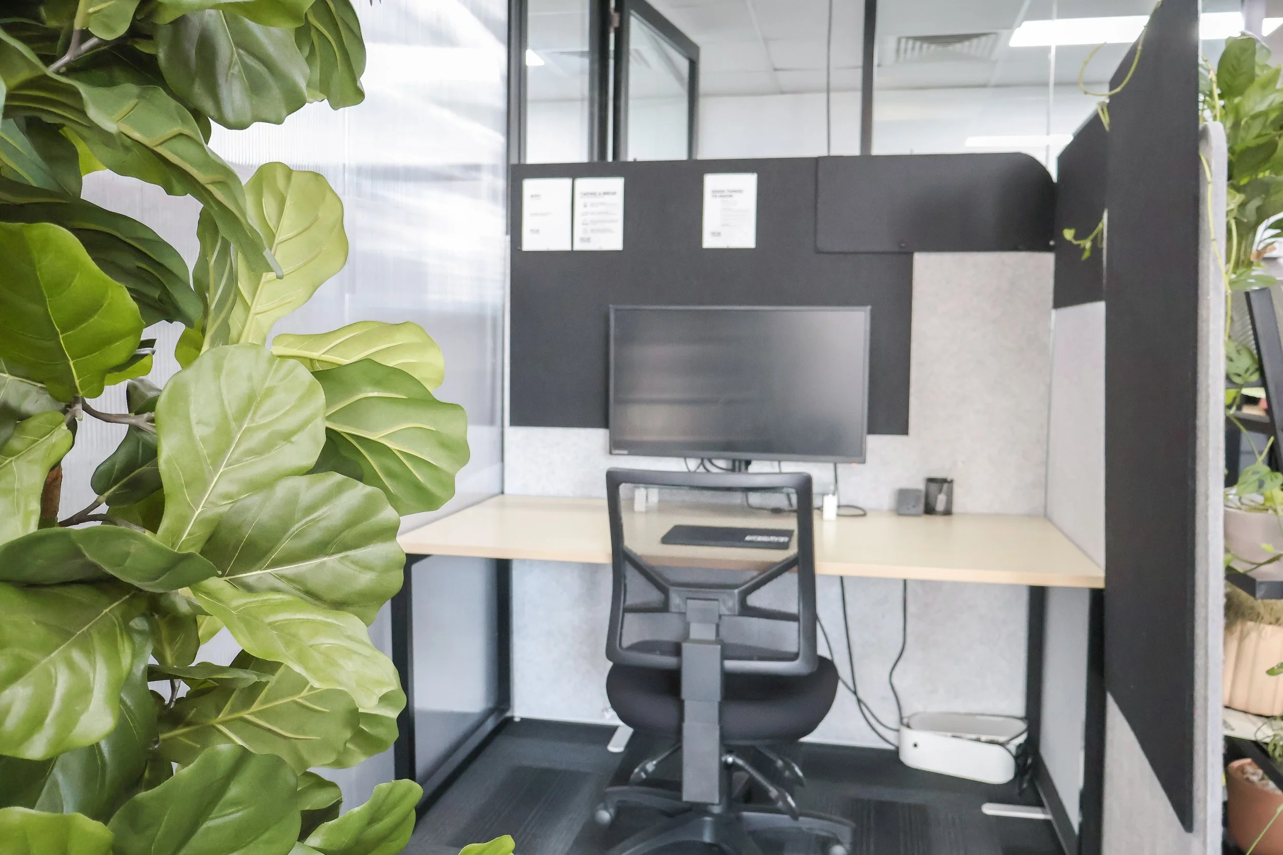 Desk 2.4 - Dedicated Day Desk with Monitor

A calm, light-filled desk in our open-plan area. Ideal for regulars or remote workers wanting a quality setup without a private suite.

Located in shared open-plan area

Includes a 27" monitor for plug-and-