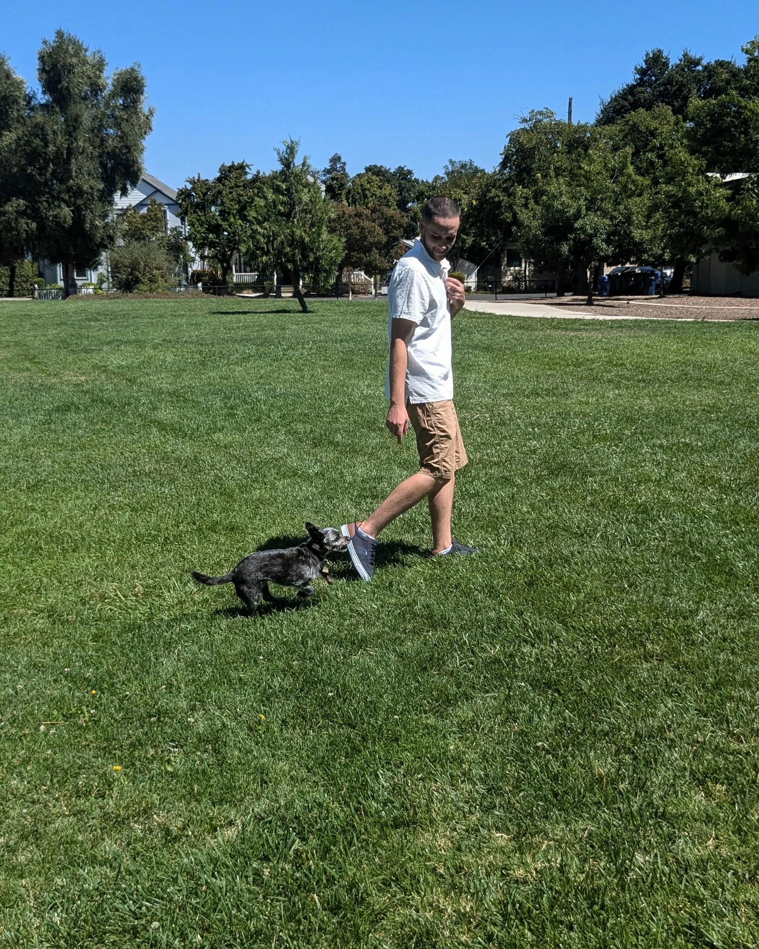 Ben, owner of LUKAS K9, walking on grass in a park on a sunny day with his small dog.