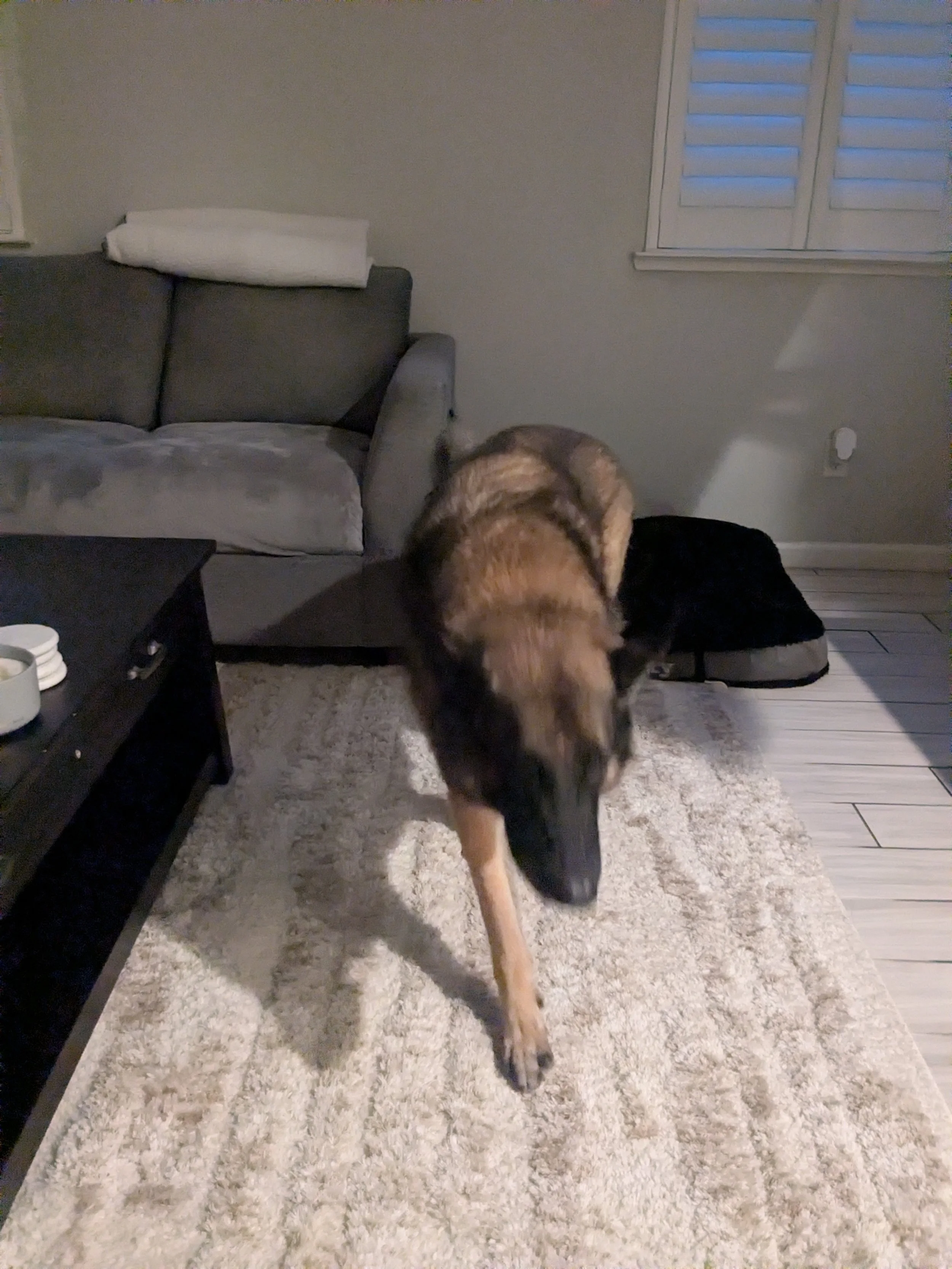 website139 rocky.jpg