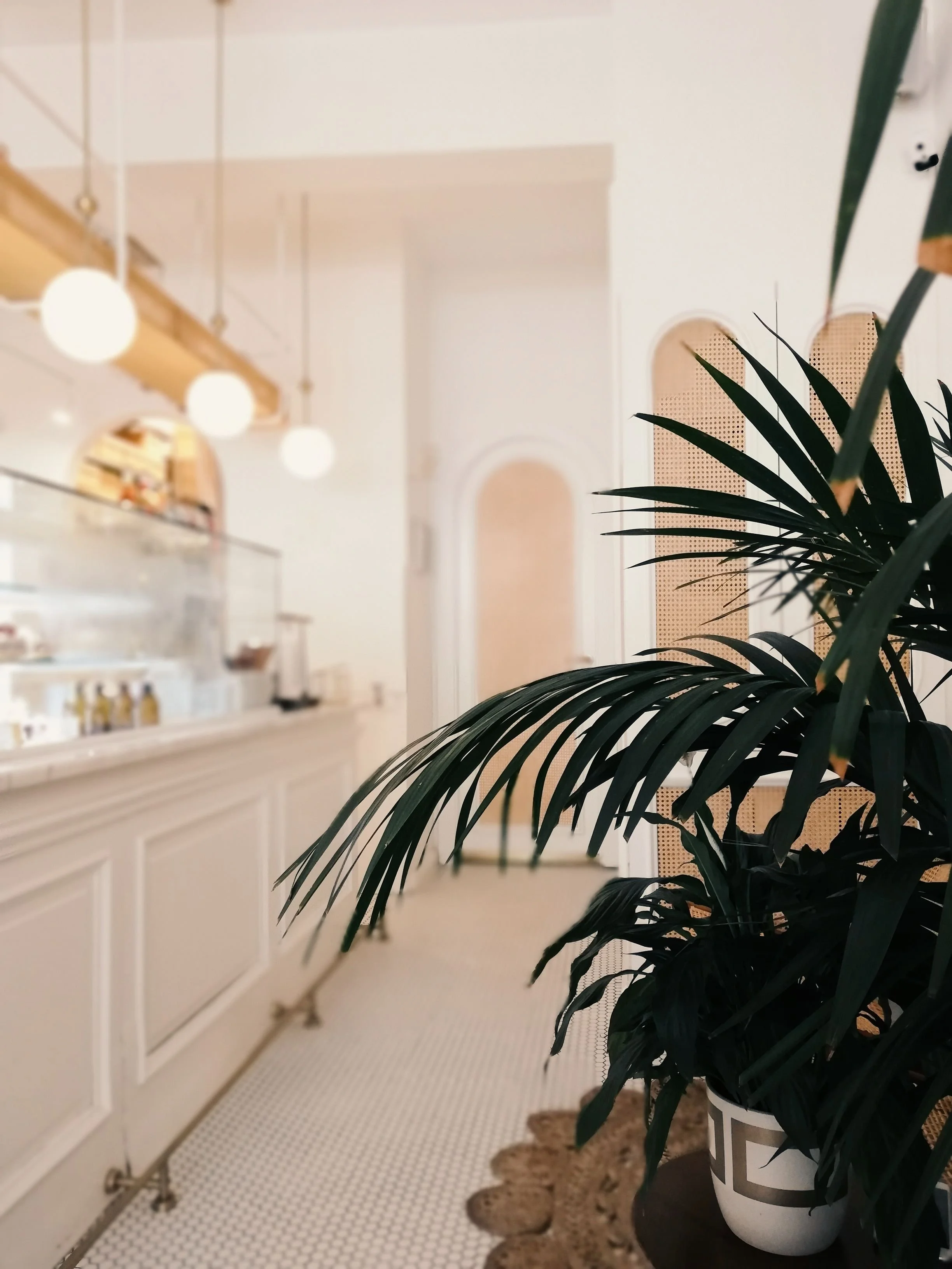 Indoor scene with a tall green plant in a decorated pot, a beige textured rug, a white cabinet with drawers, and a wall with woven decor panels, beneath a light fixture with round bulbs.