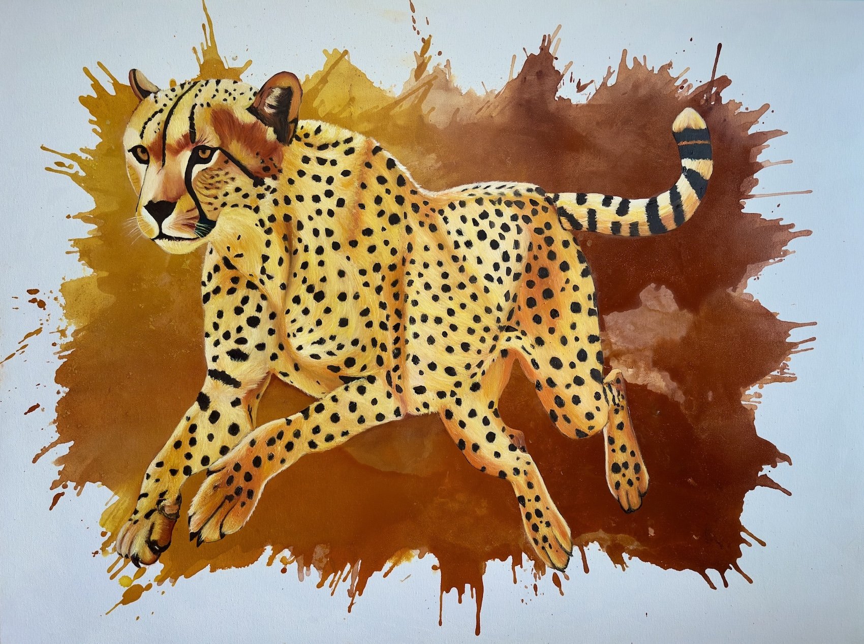 Boundless
Medium: Oil & Acrylic on canvas
Dimensions: 91 cm x 120 cm
Year : 2025
Artist : Babita