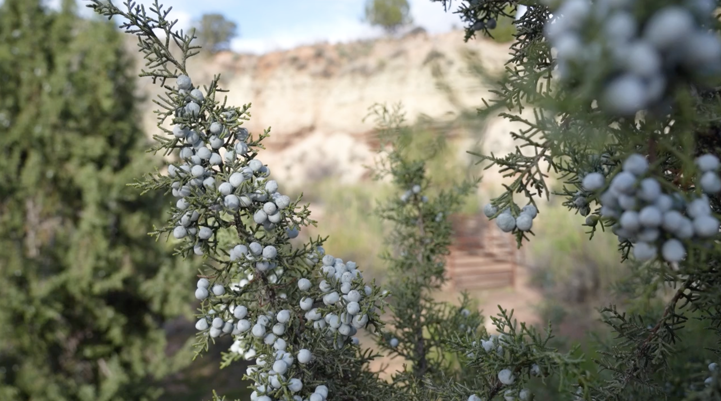 Screenshot 2026-03-17 at 3.57.30 PM.png