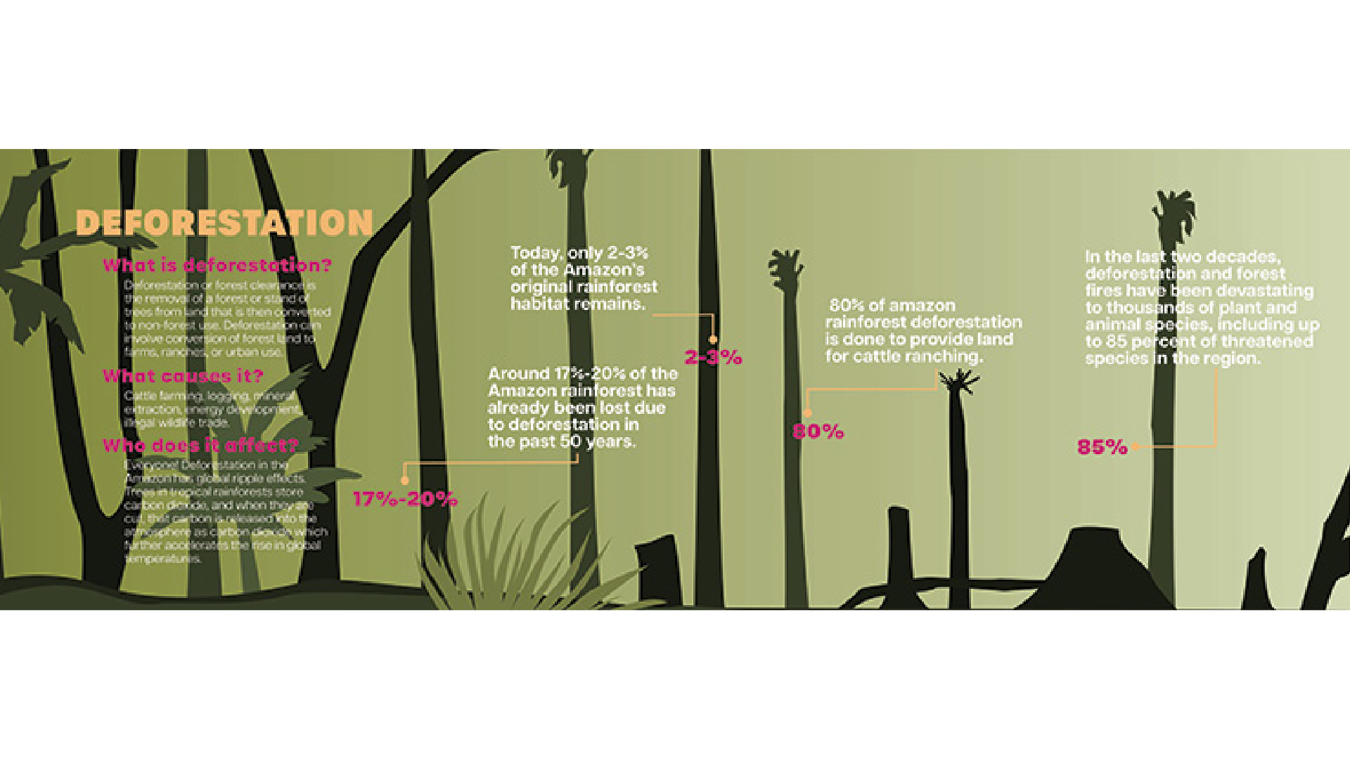 depths-of-the-amazon-museum-graphics-children-interactive-26.png