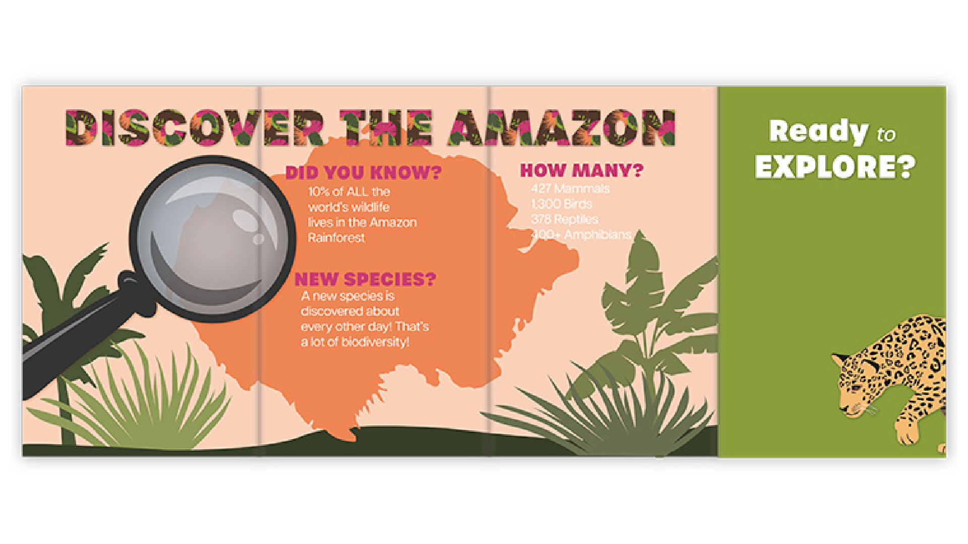 depths-of-the-amazon-museum-graphics-children-interactive-22.png