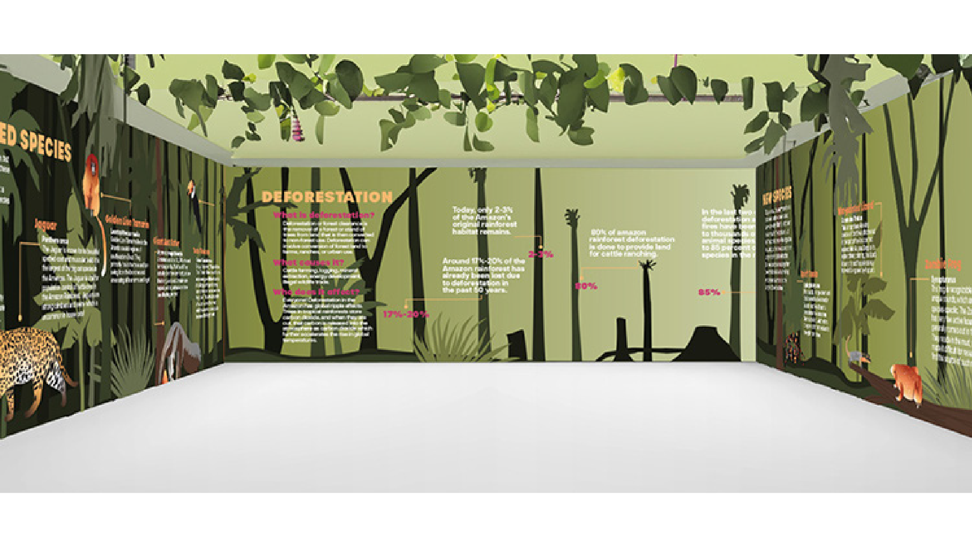 depths-of-the-amazon-museum-graphics-children-interactive-19.png