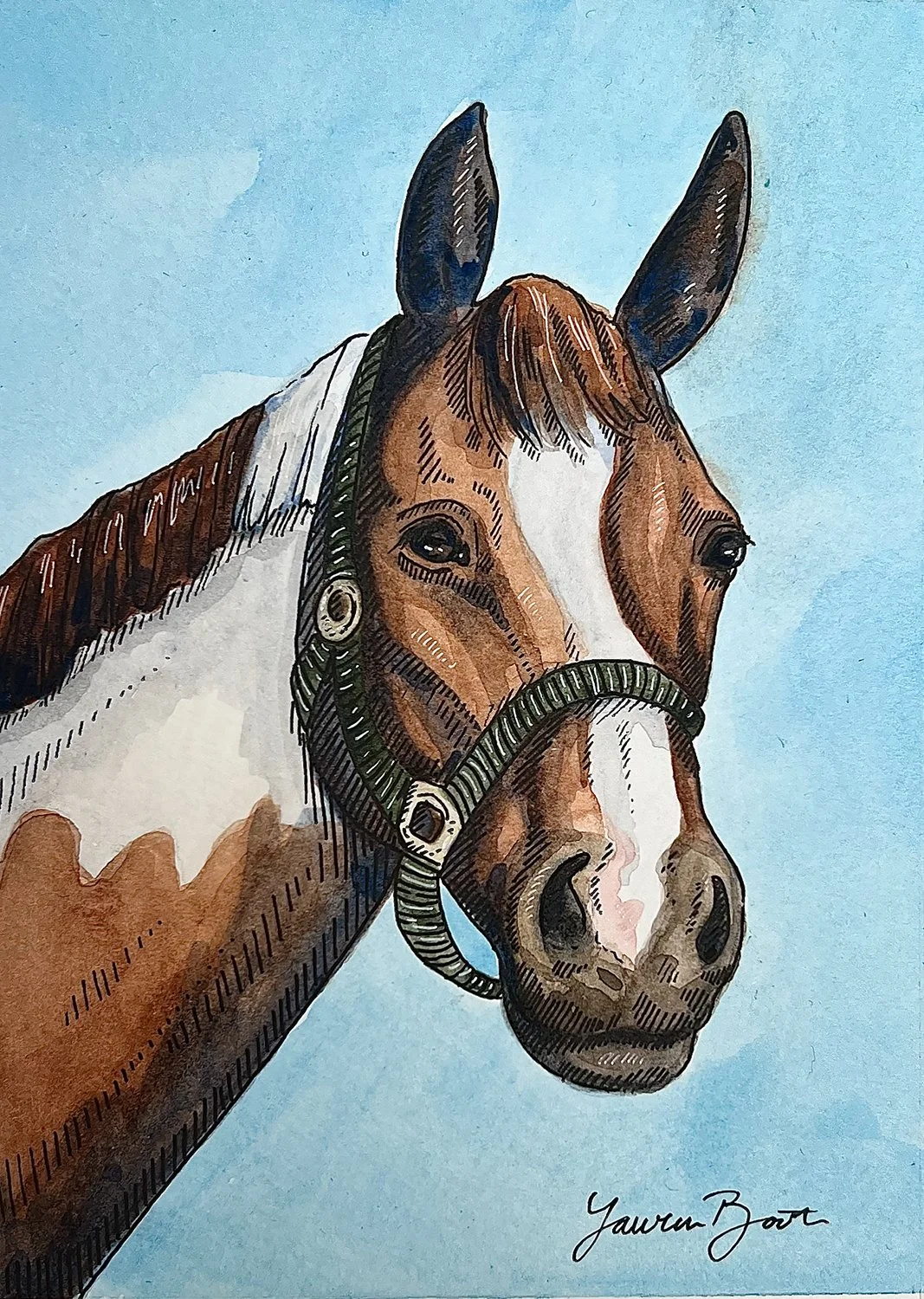 equine-art-horse-portrait-watercolor-painting-harkness-art-and-design.jpg