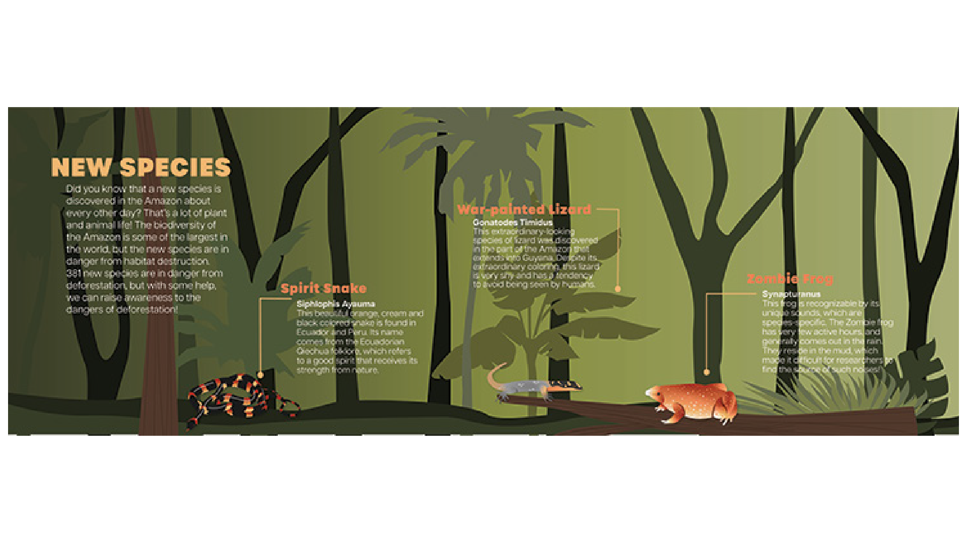 depths-of-the-amazon-museum-graphics-children-interactive-25.png