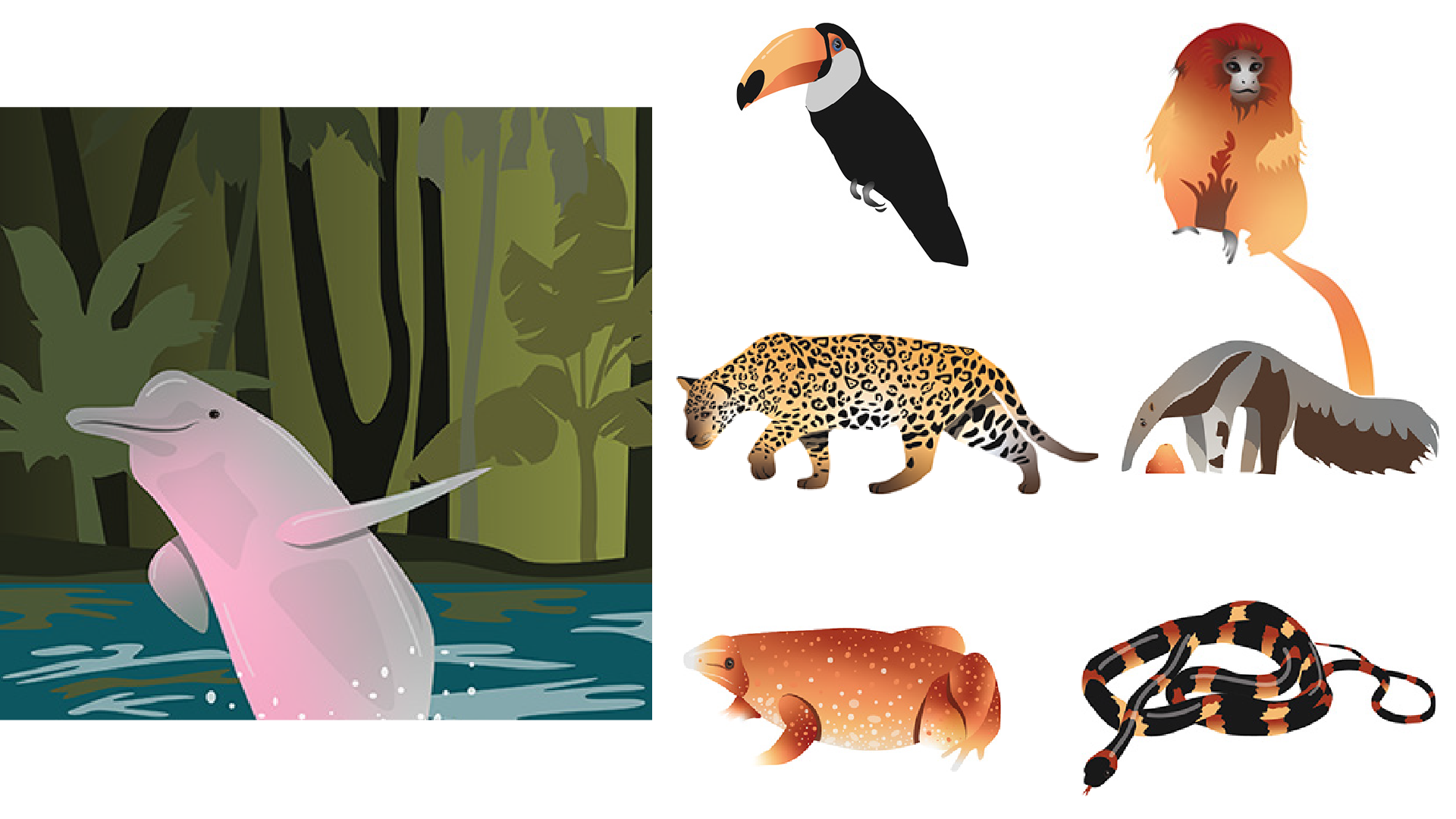 depths-of-the-amazon-museum-graphics-children-interactive-27.png
